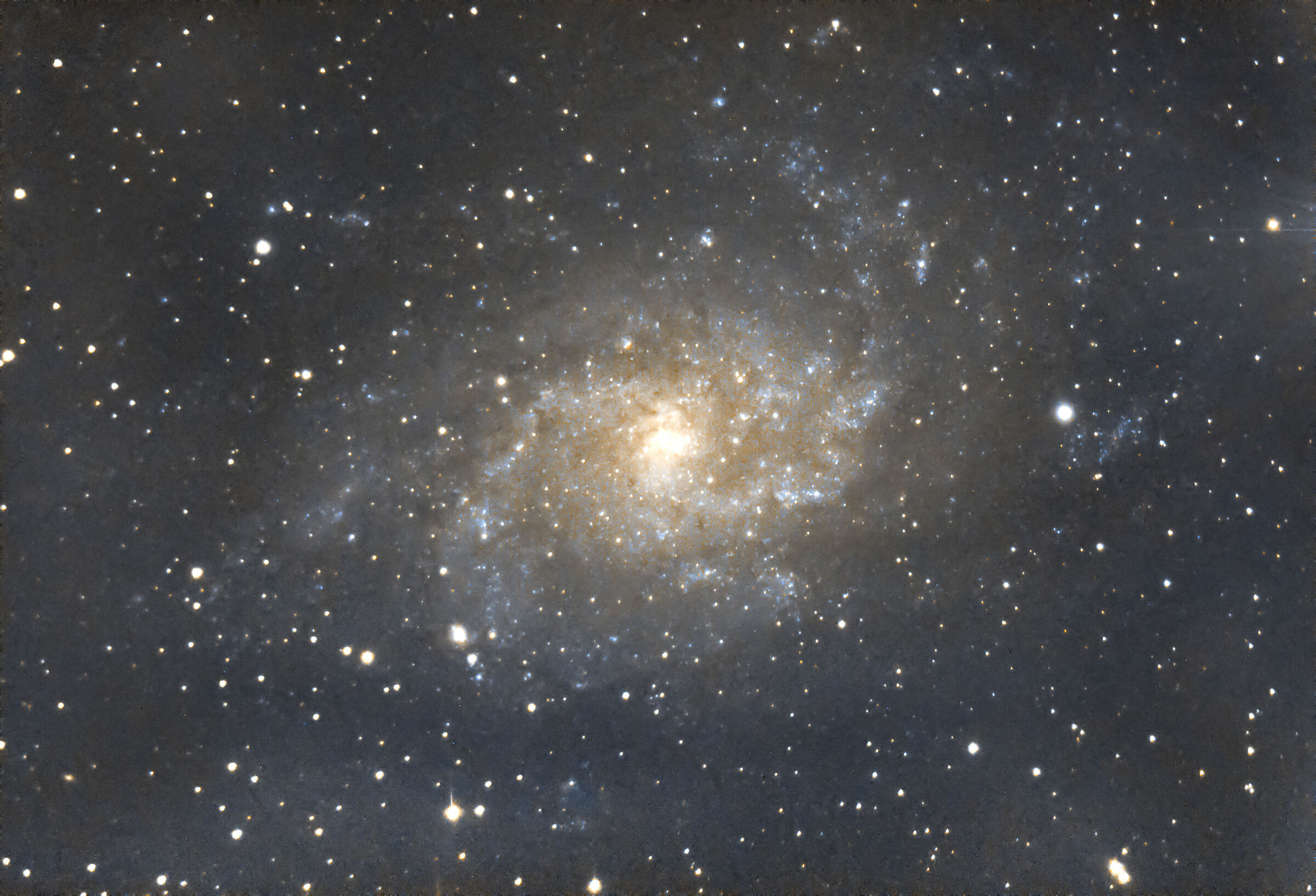 M33 daughter of the C8 ...