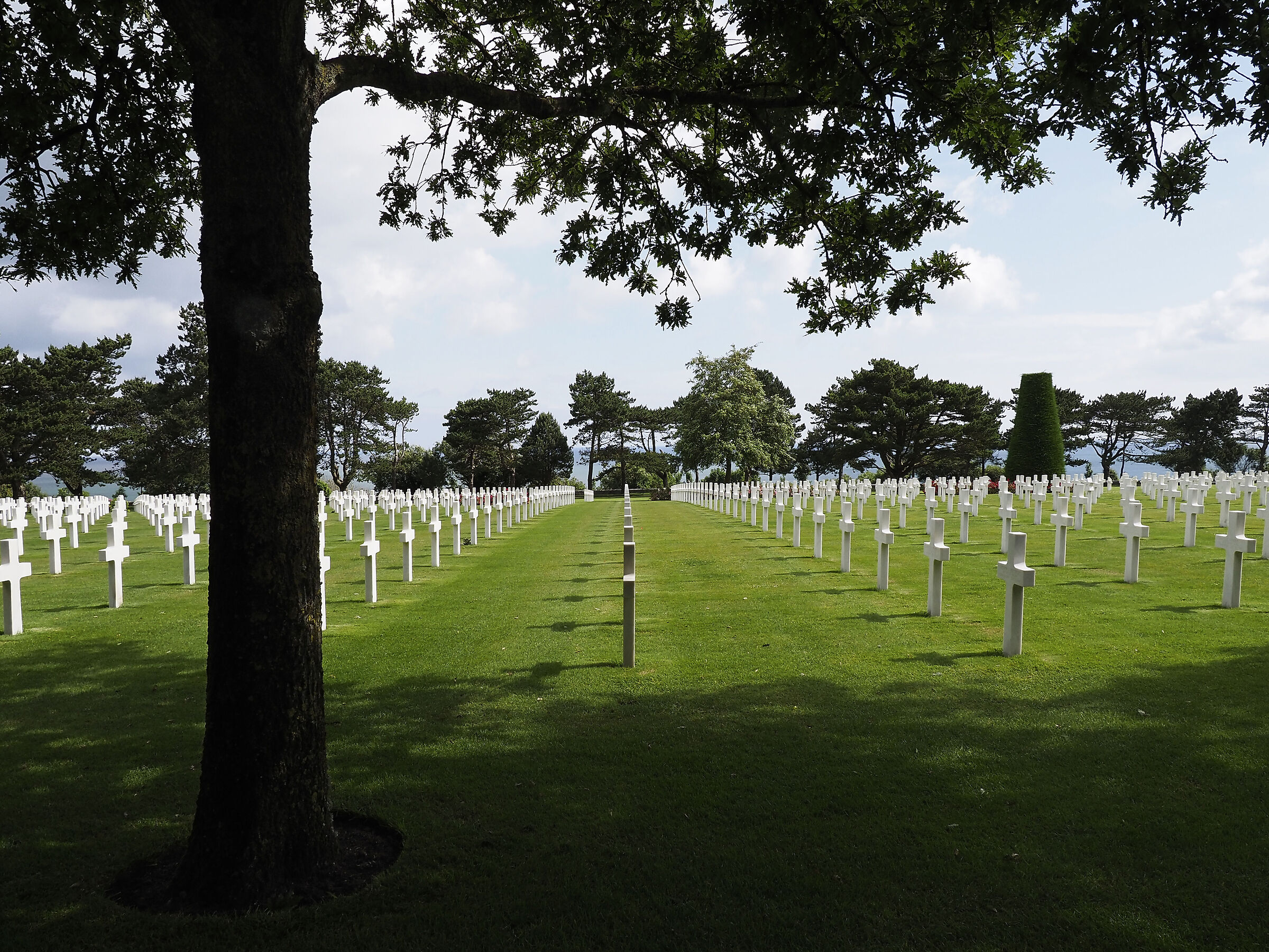 white crosses in Normandy...