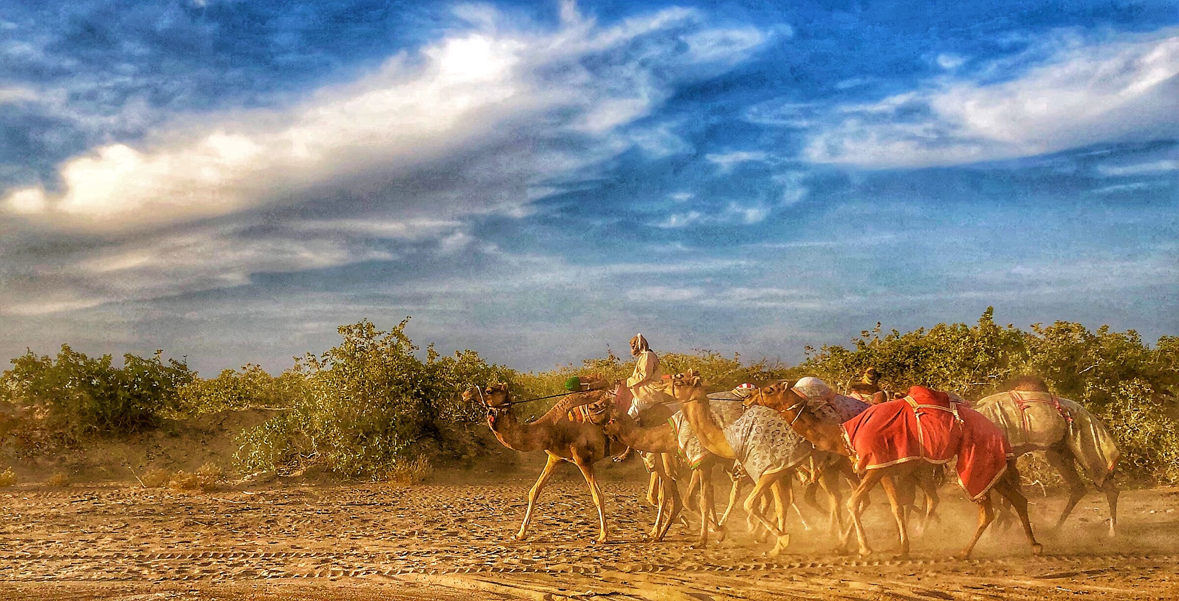 Caravans in Oman...