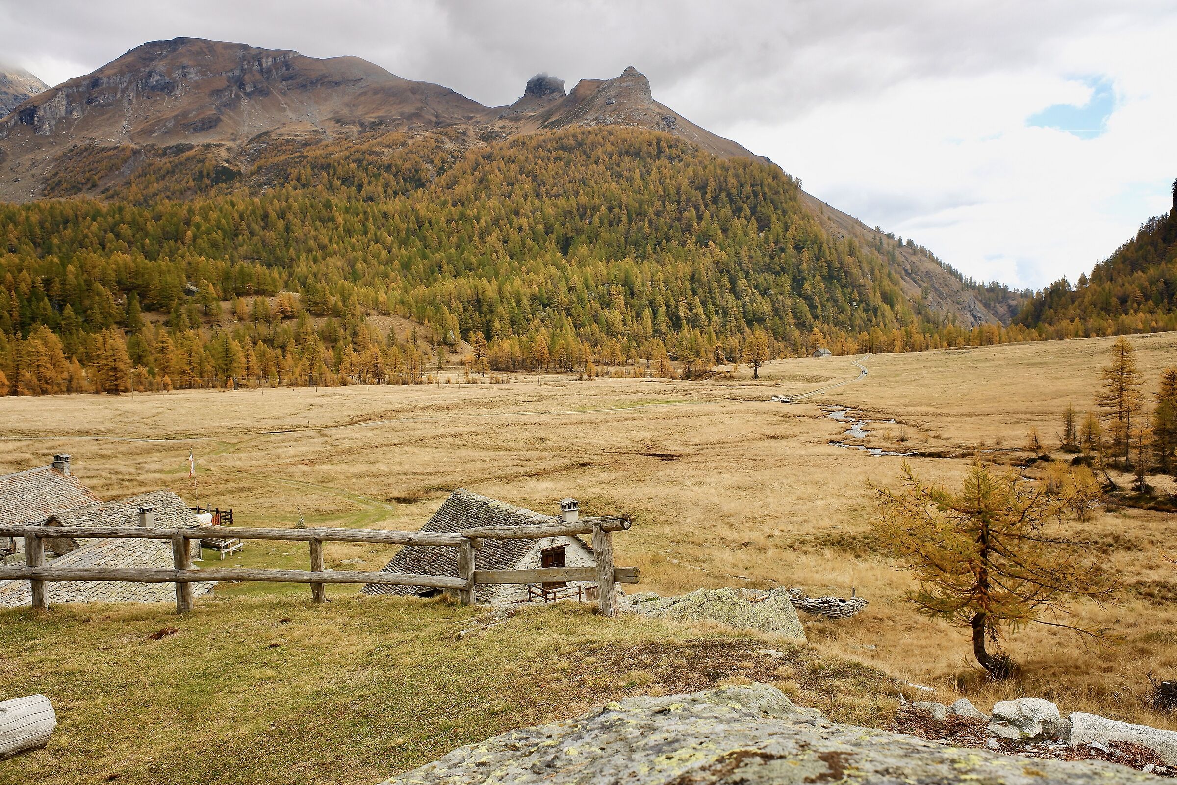 The Alpe in autumn...