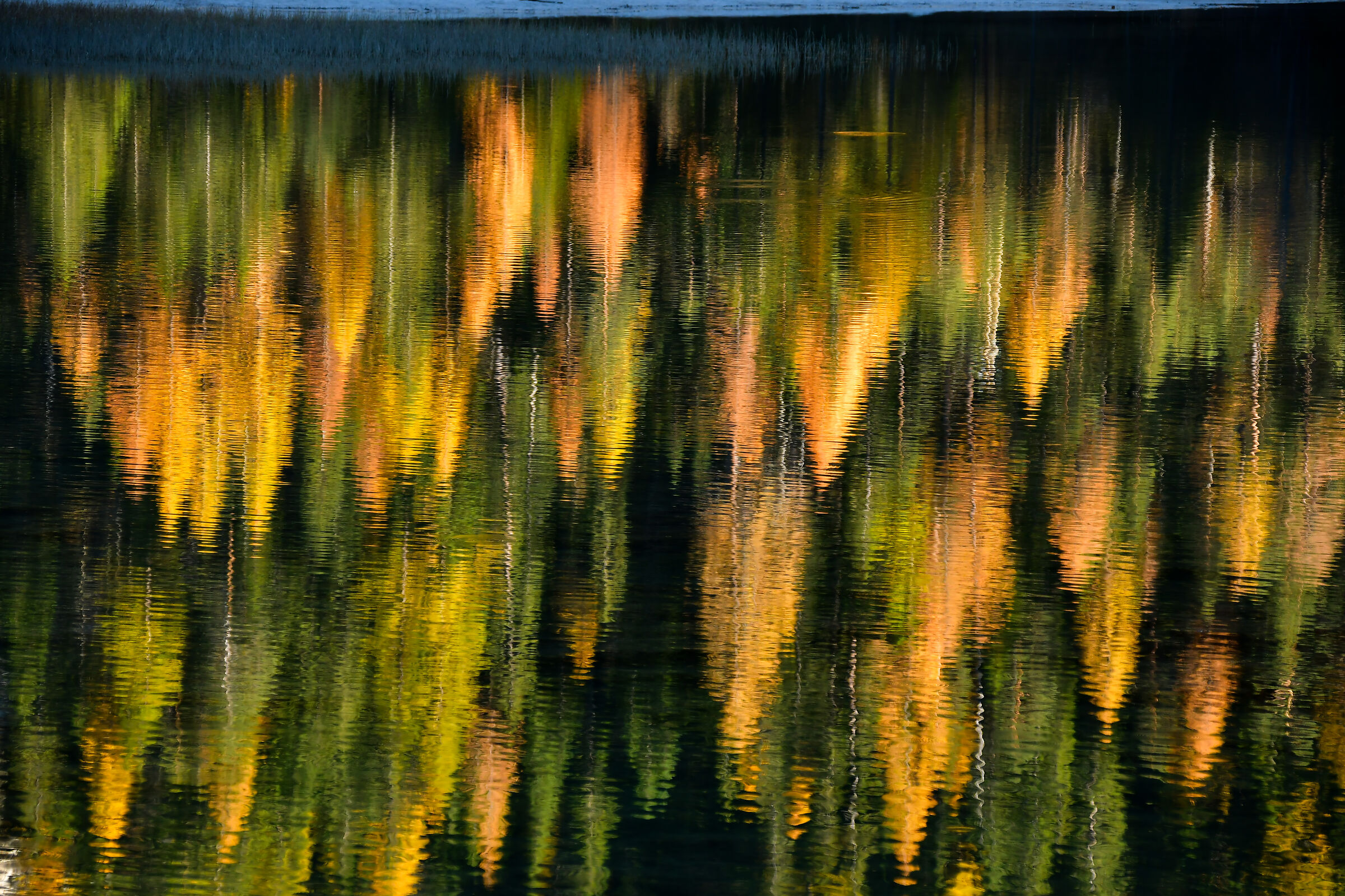 Lake Landro. Reflections...