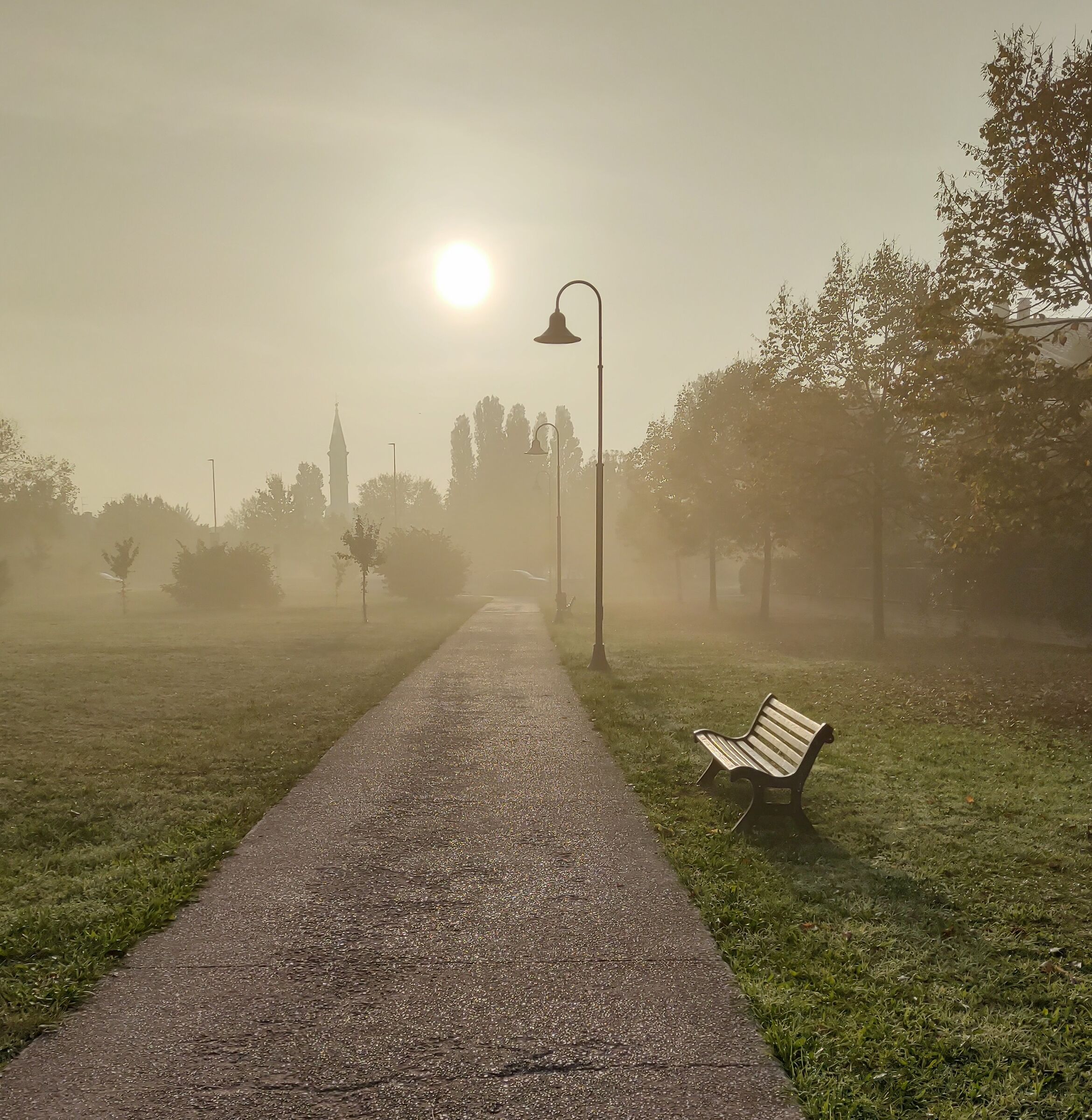 Bench and Mist...