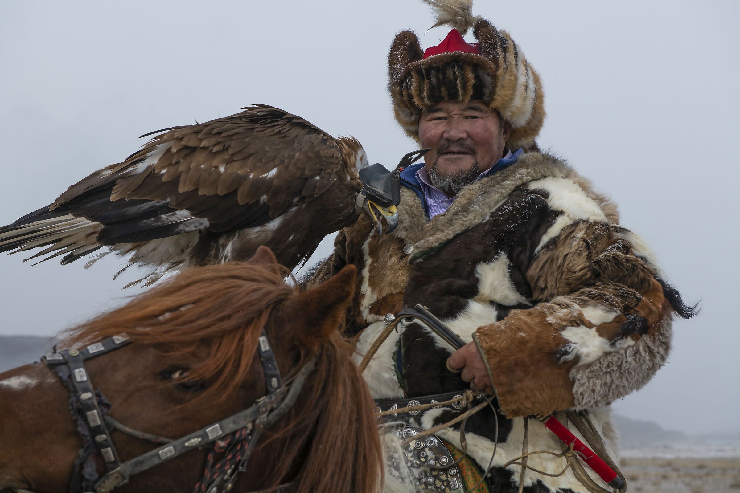 Orgoglio mongolo...