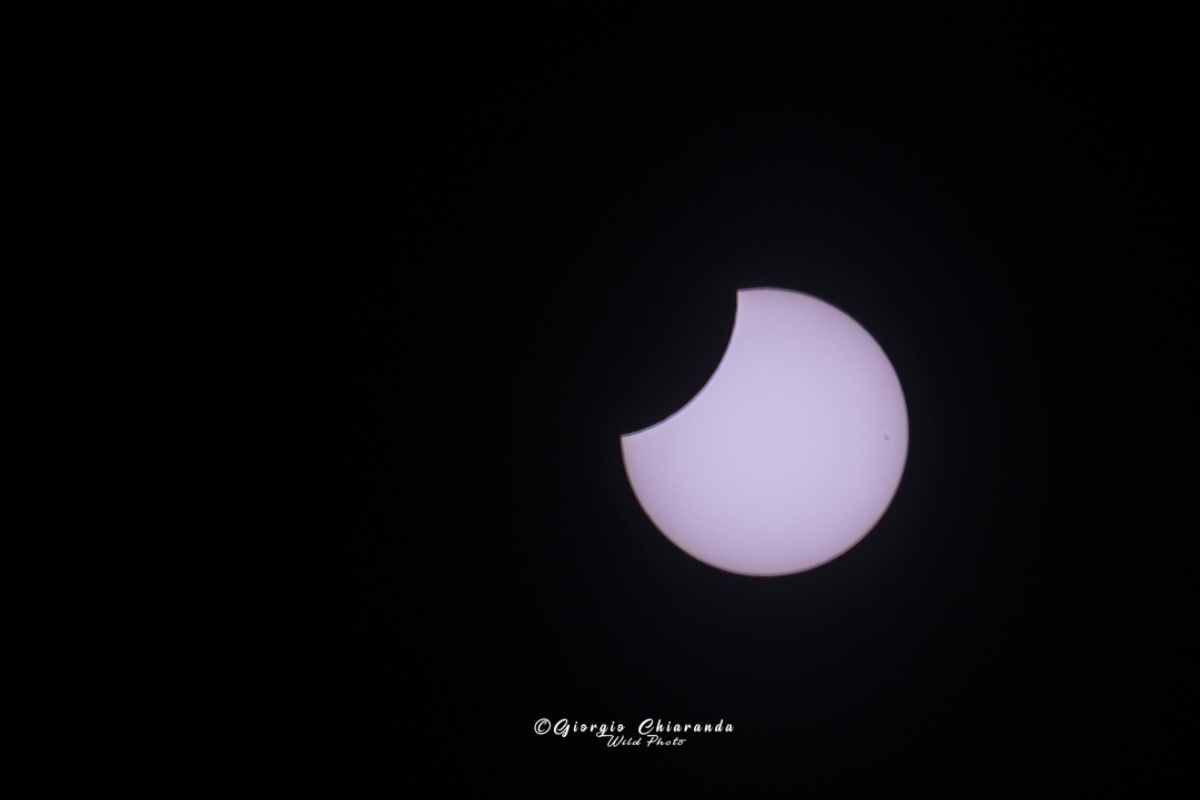 Eclipse 10/25/2022...