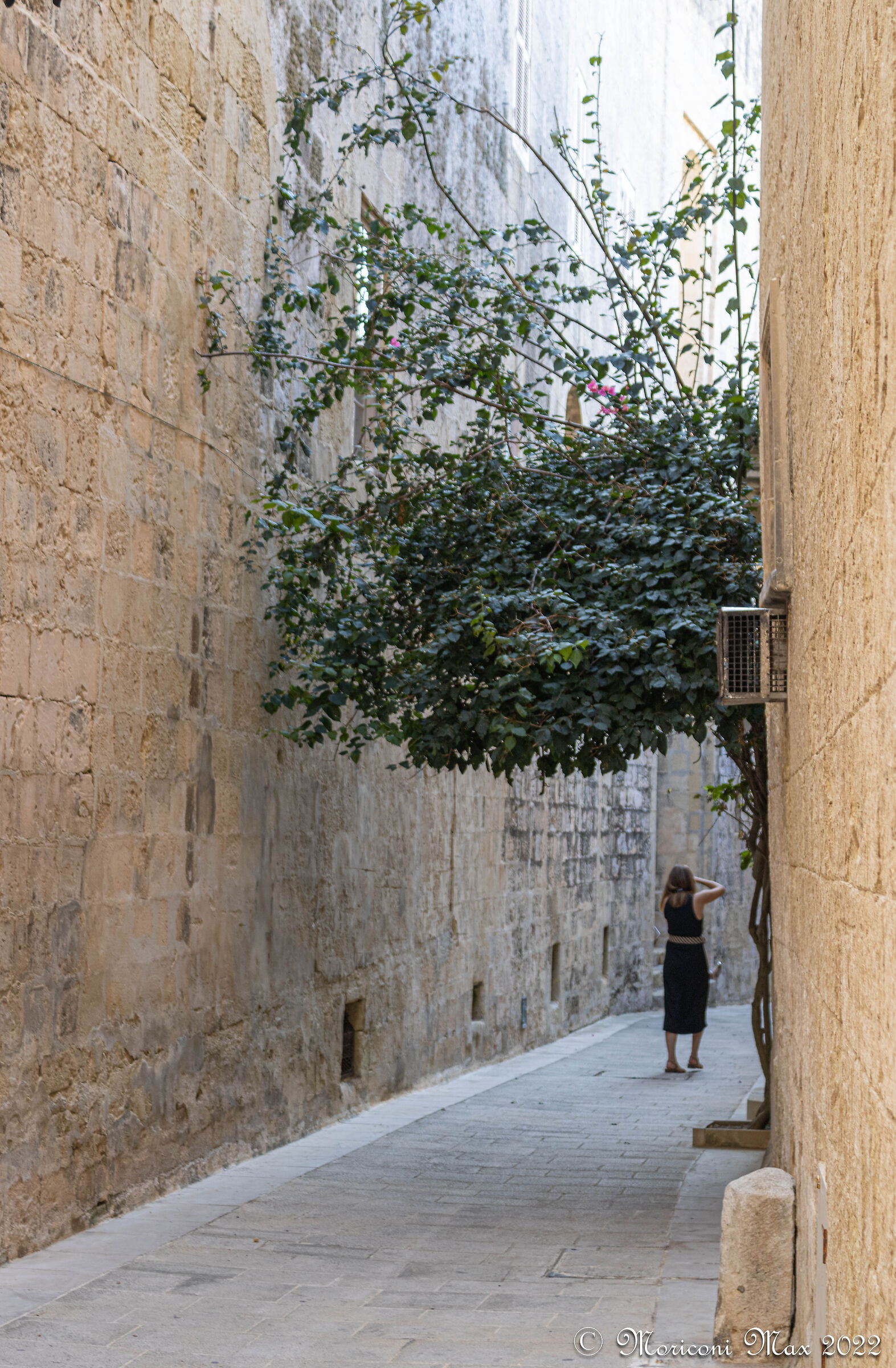 Photographing an Alley of Malta...