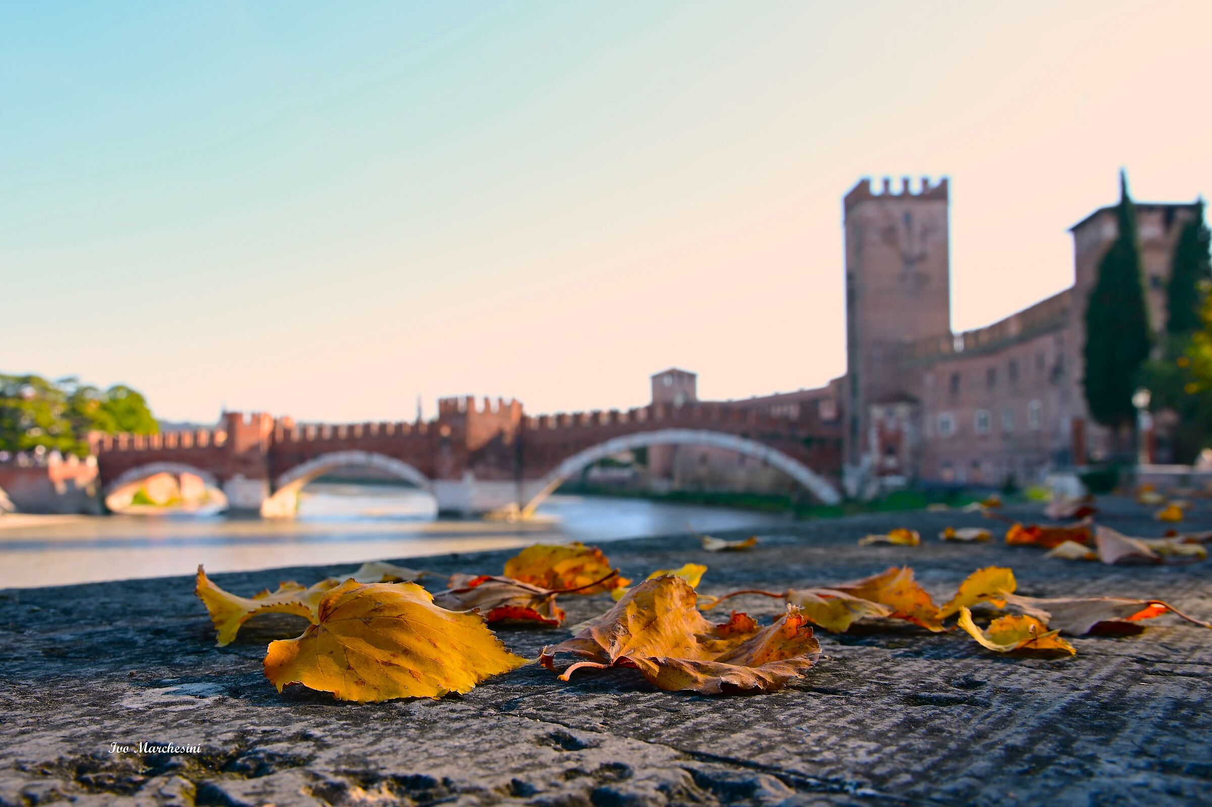 Autumn__Castelvecchio_Verona...