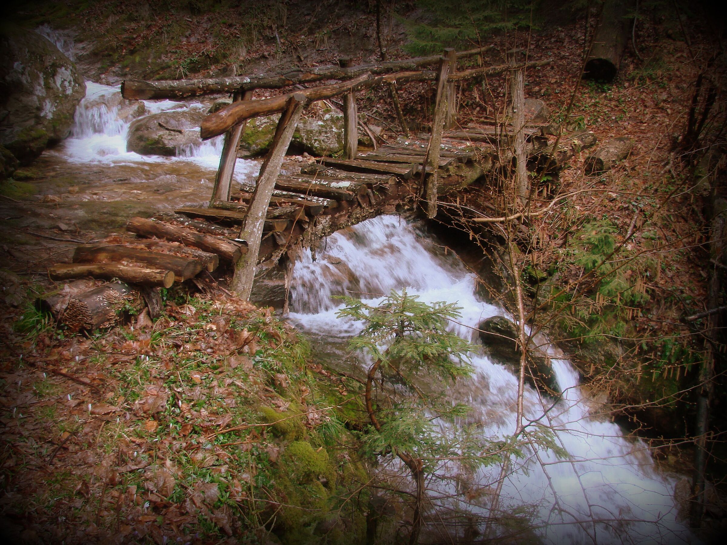 Mountain stream...