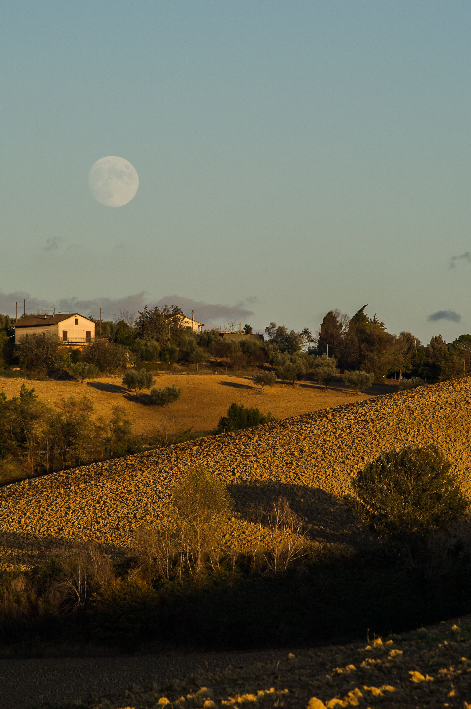 Countryside in the Fermo area ...
