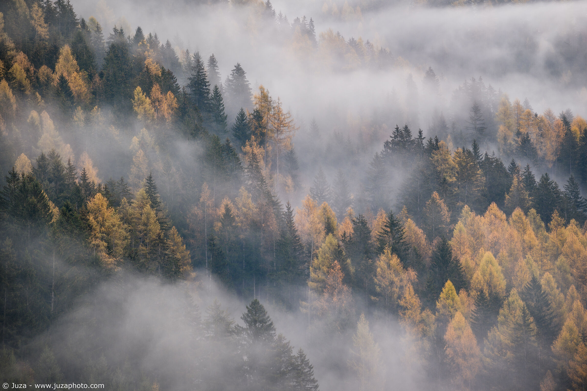Nebbie d'autunno, Austria...