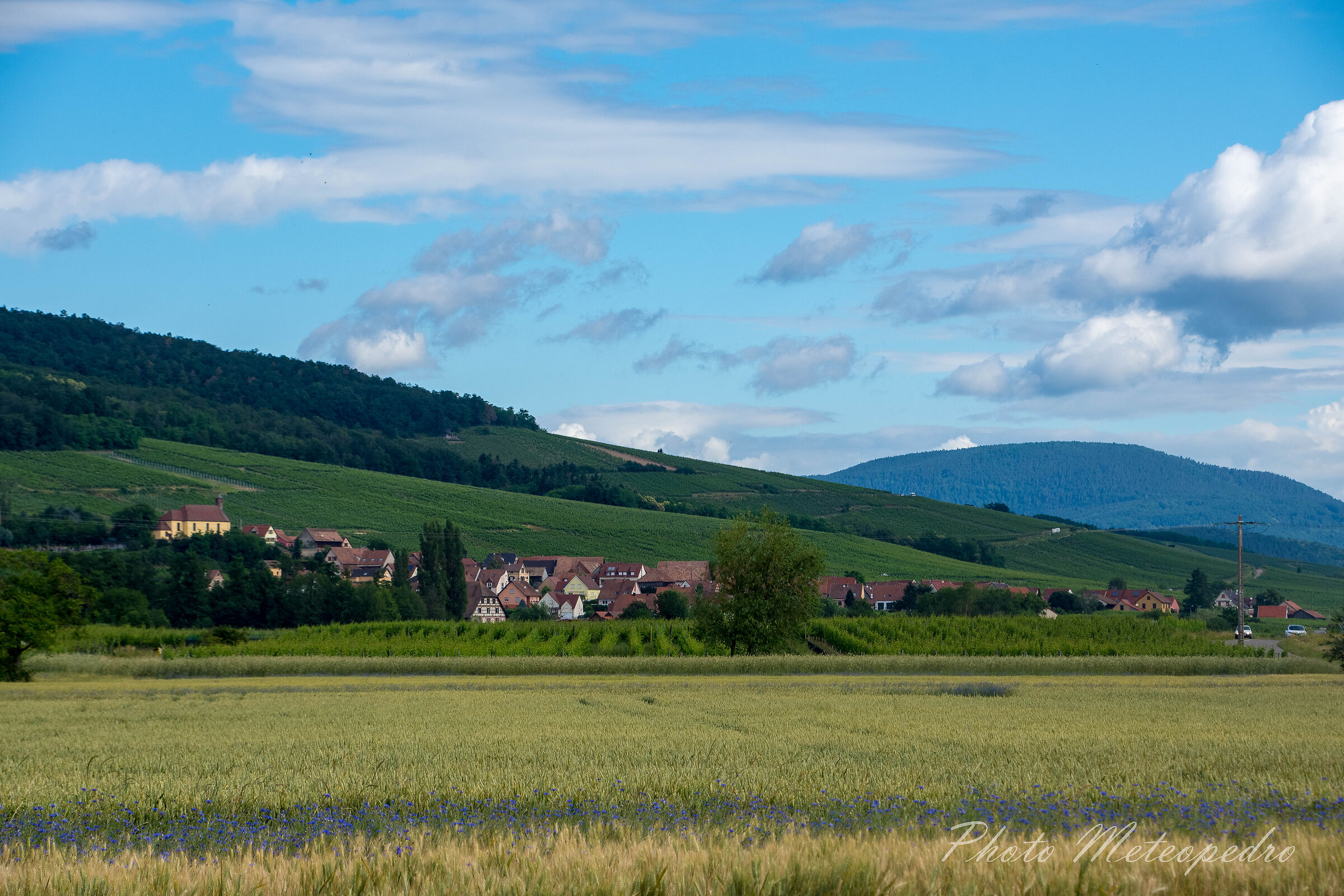  landscape in Colmar (Alsace)...