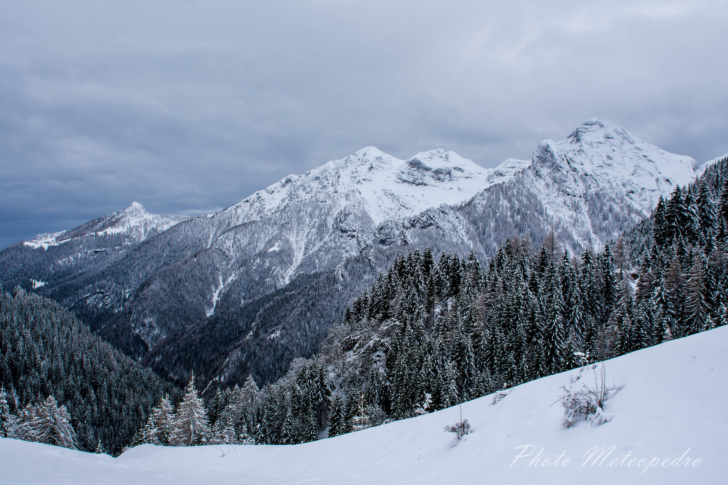Winter panorama...