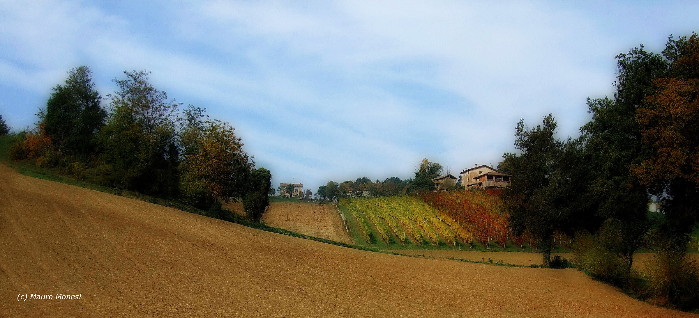 The hills of Pignoletto and Souvignon...