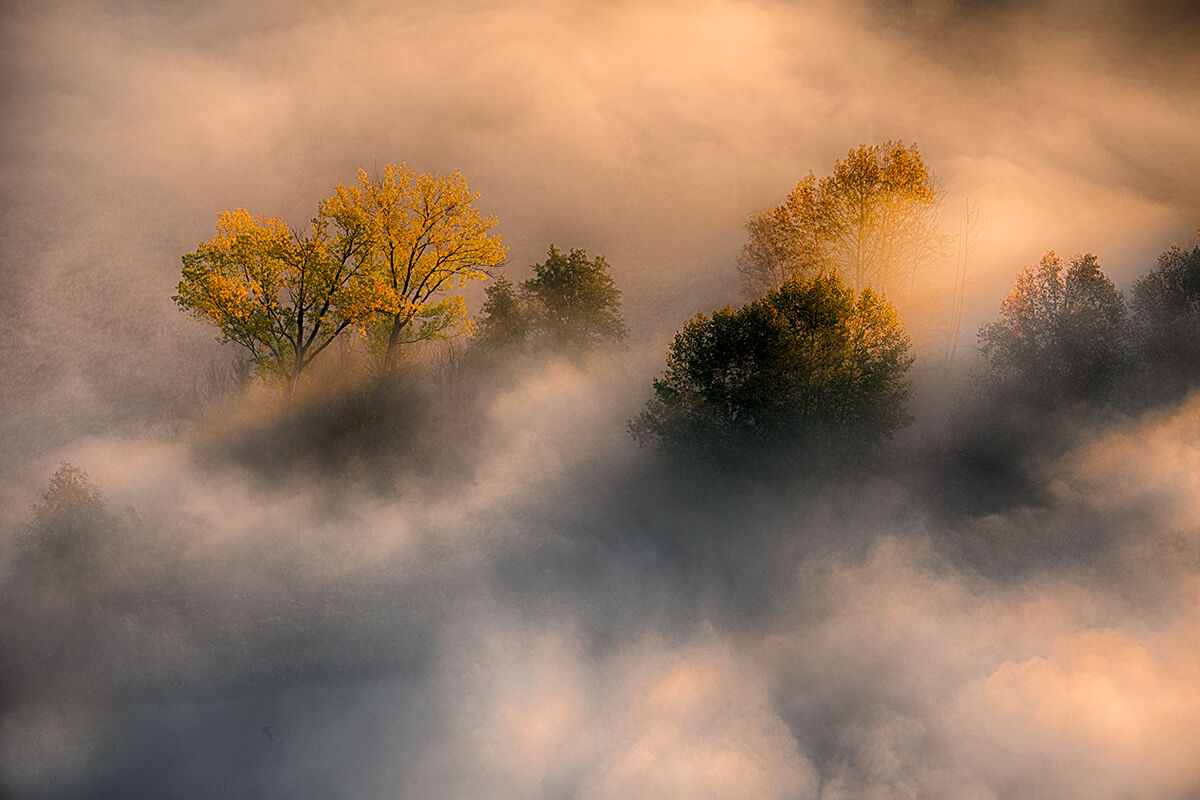 Lights and colors in the fog!...