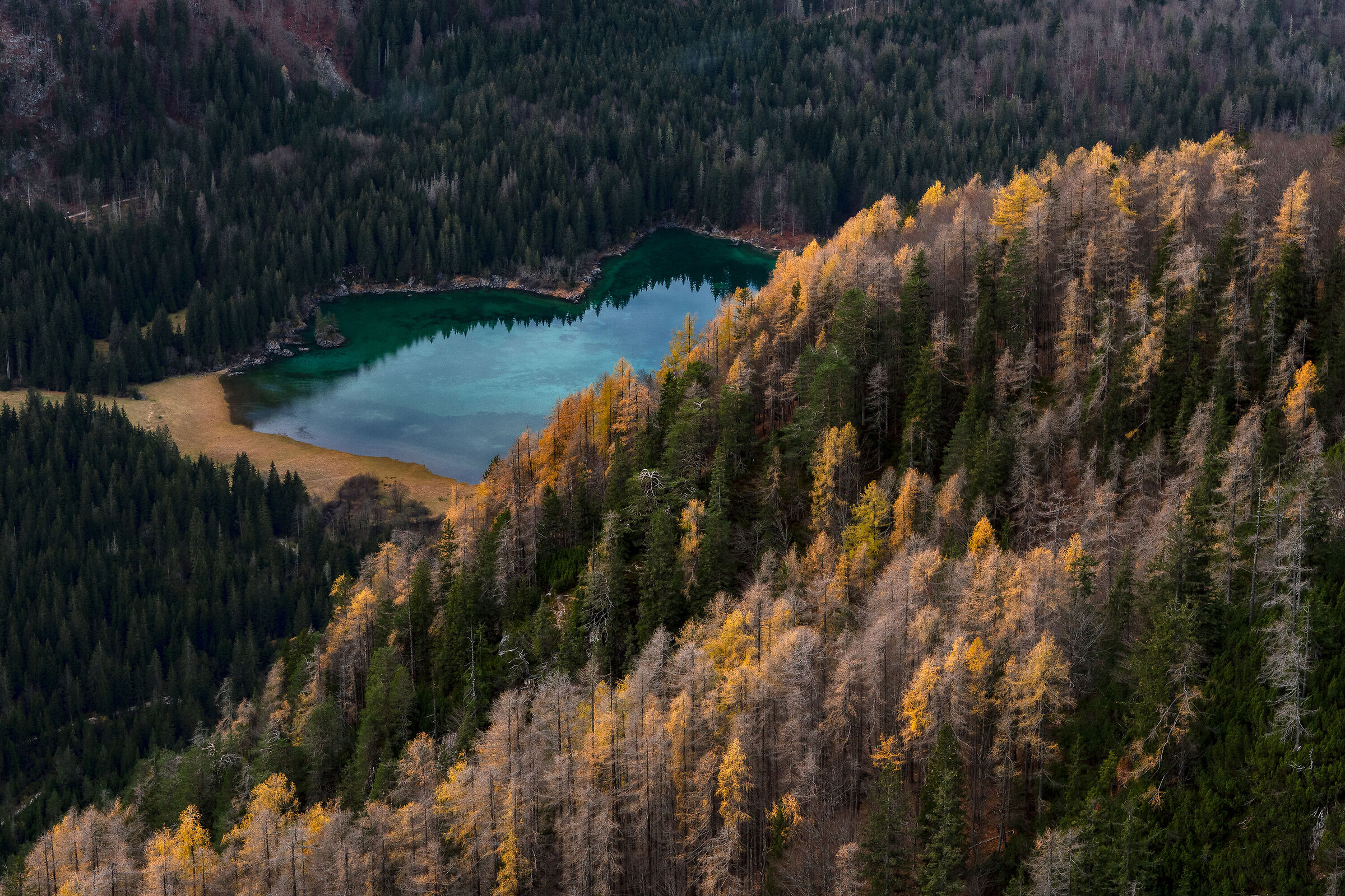 Last colors of autumn - Lago sup. di Fusine - Italy...