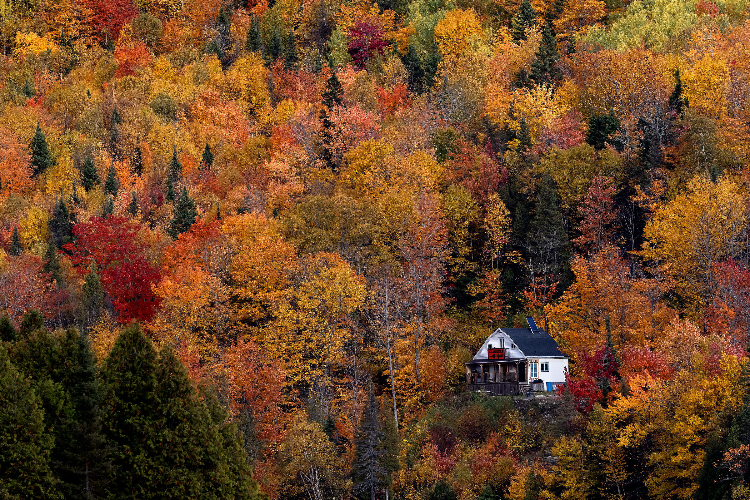 The little house in Canada...