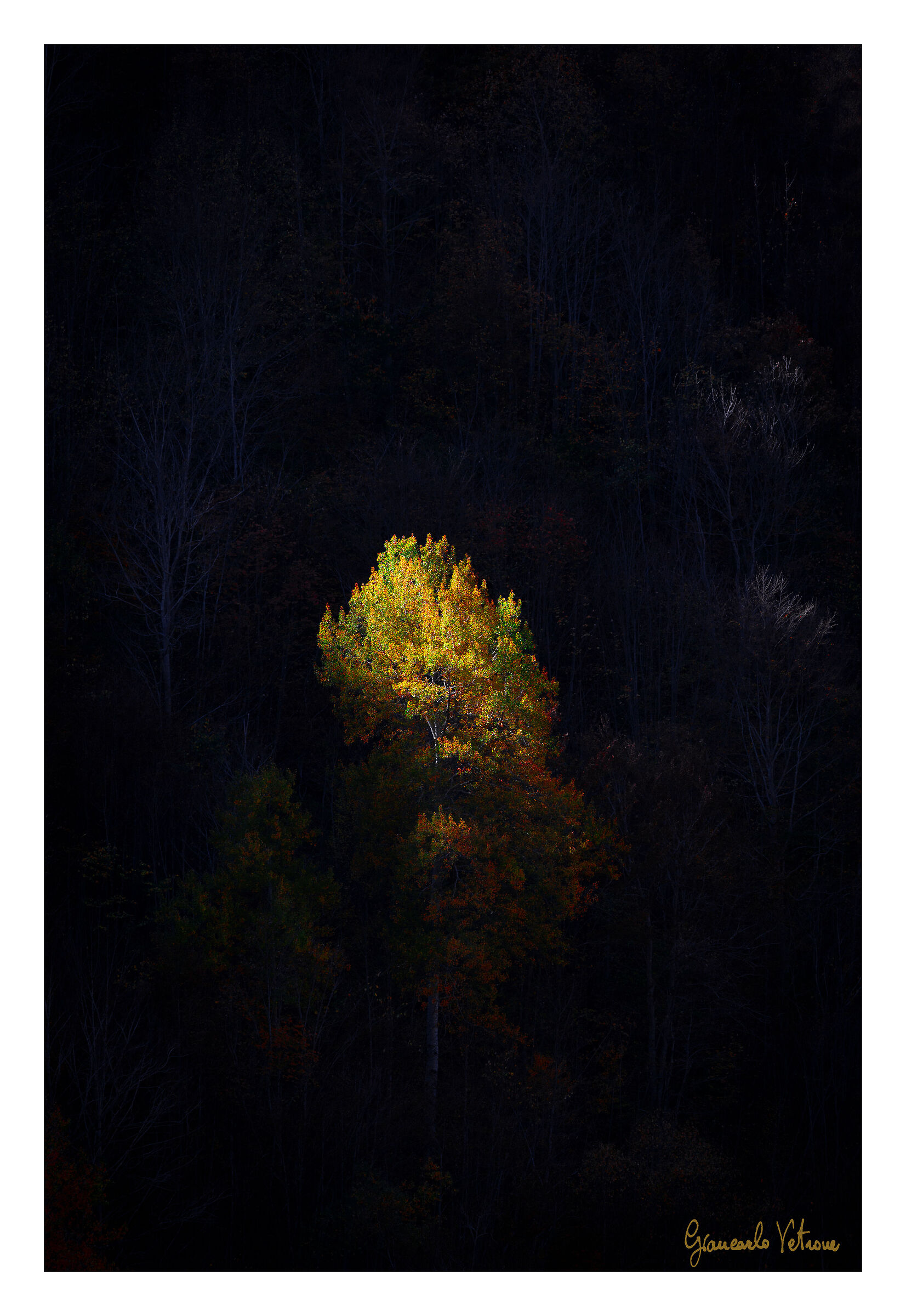 colori d'autunno 1...