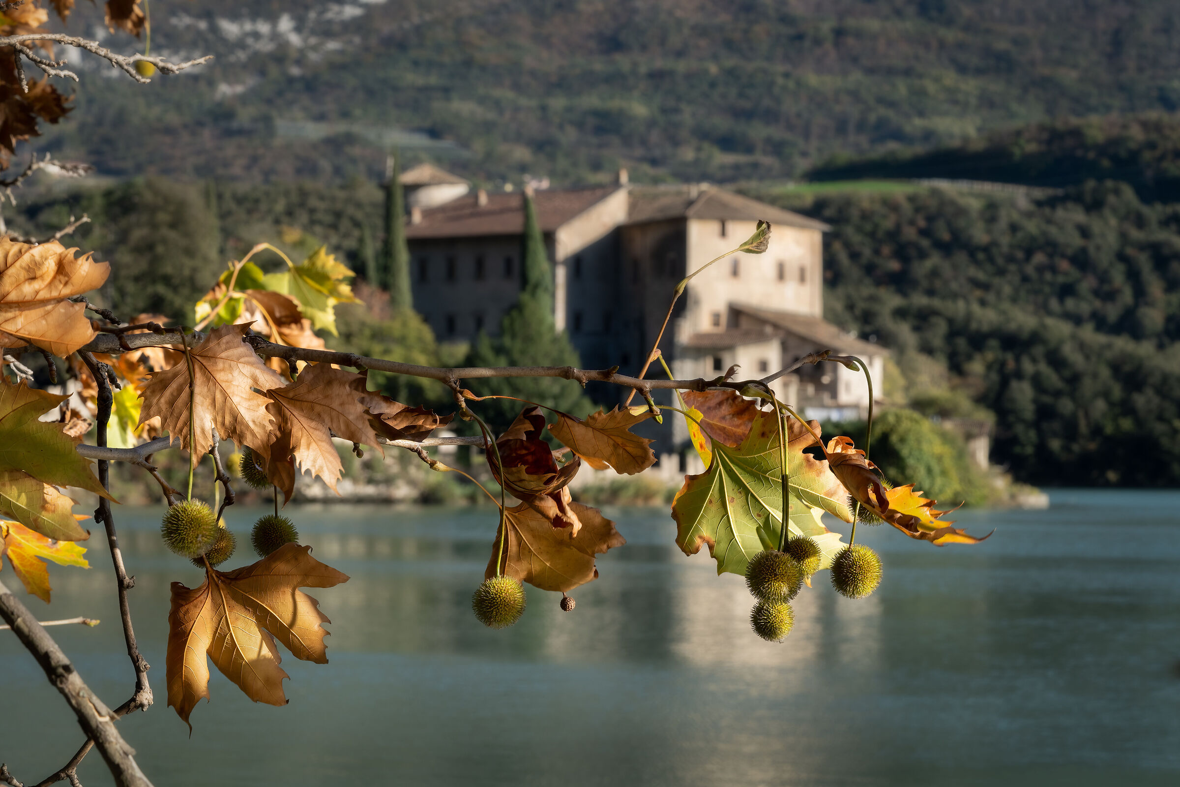 Toblino in autunno (Trentino - Italia)...