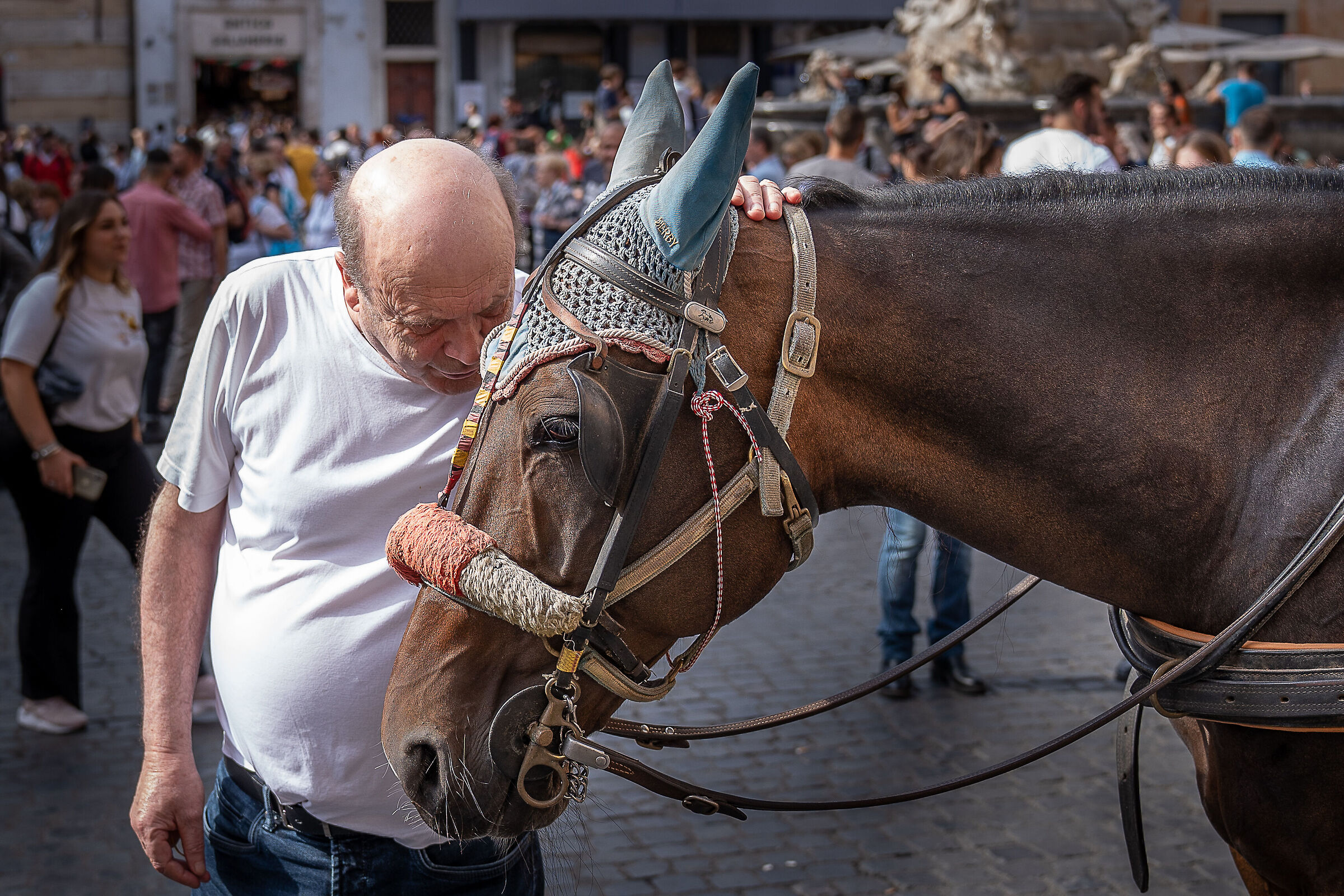 The man who whispered to horses [Rome, Pantheon]...