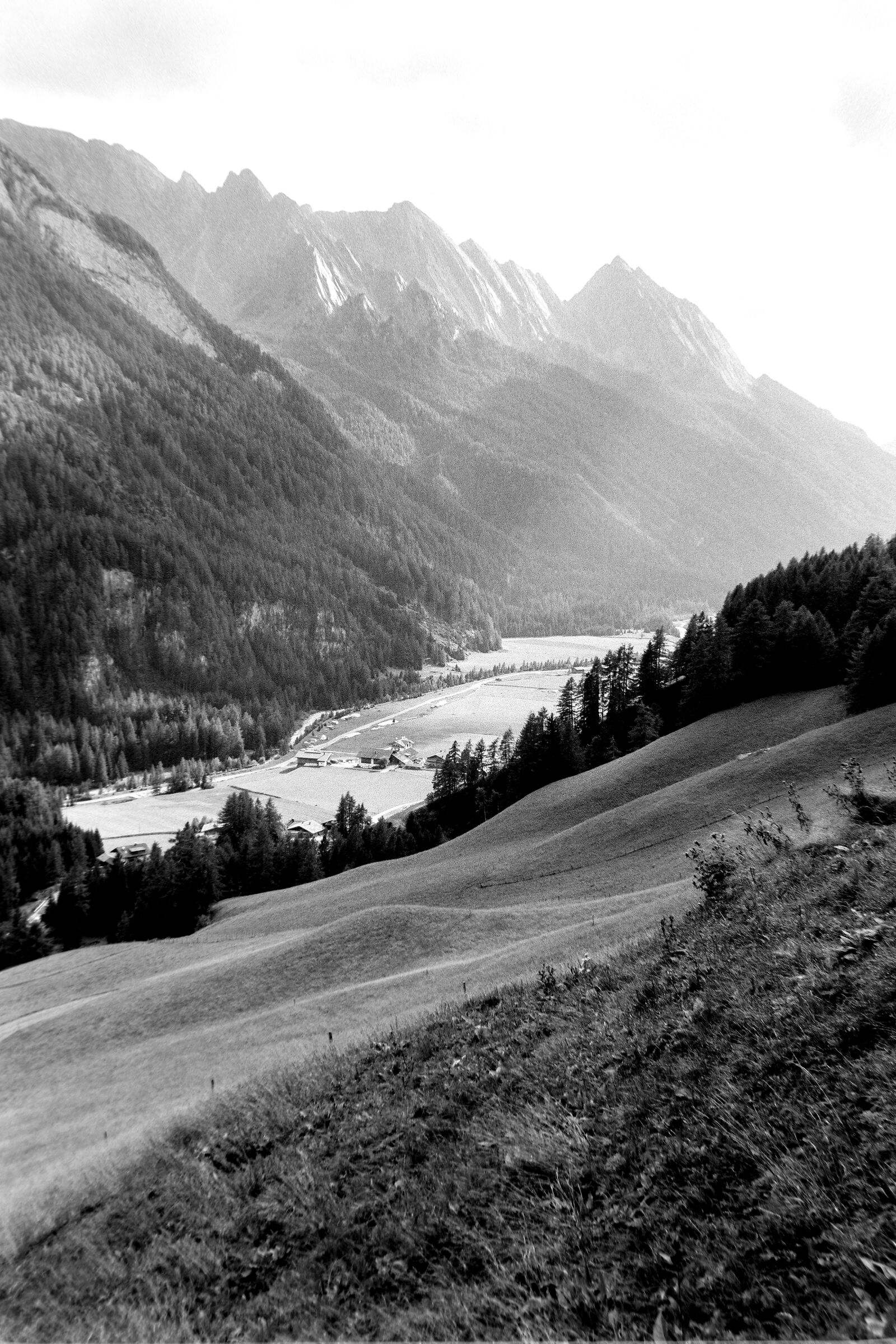 Val di Vizze in analogue. FOMA100...
