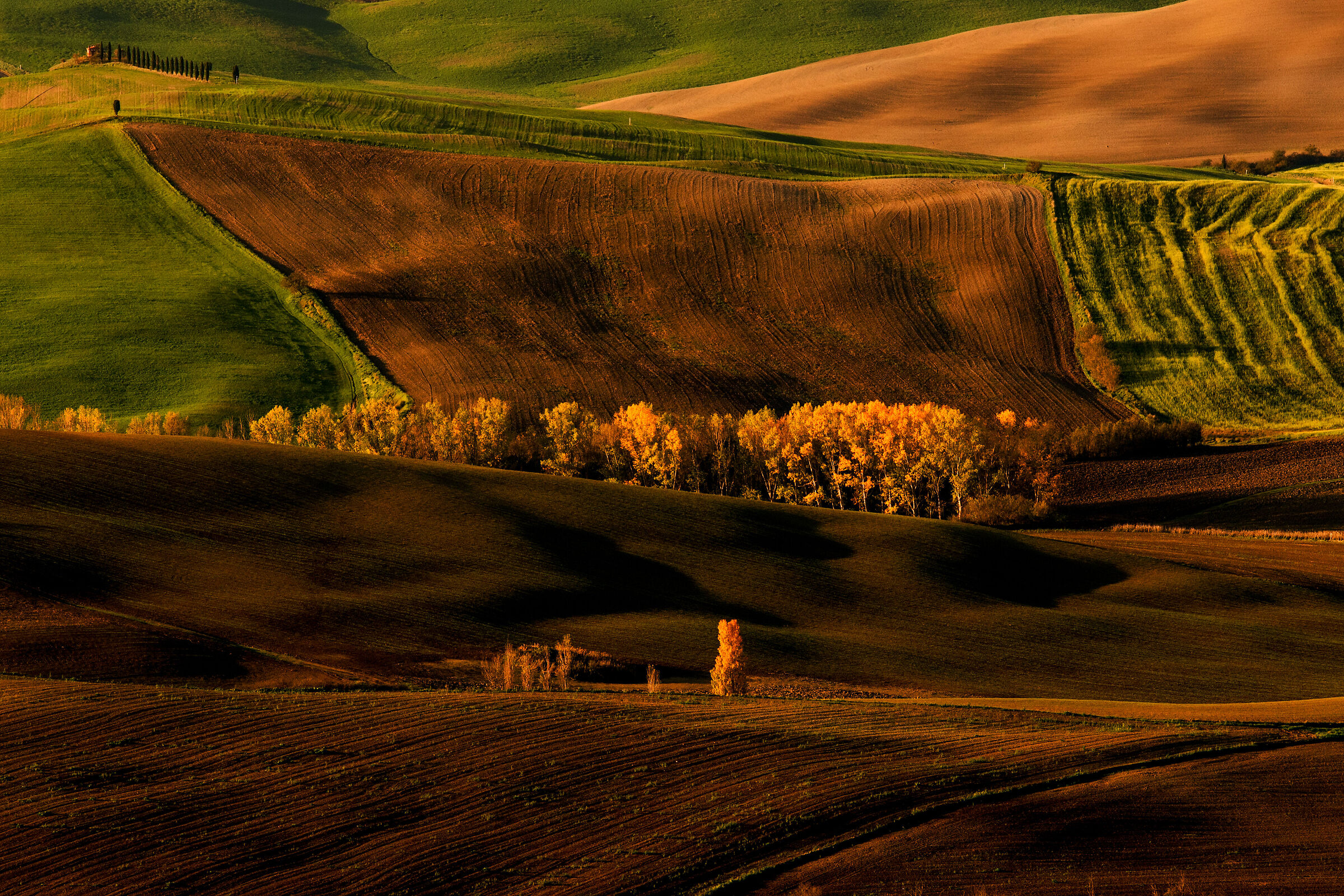 Tuscan autumn......