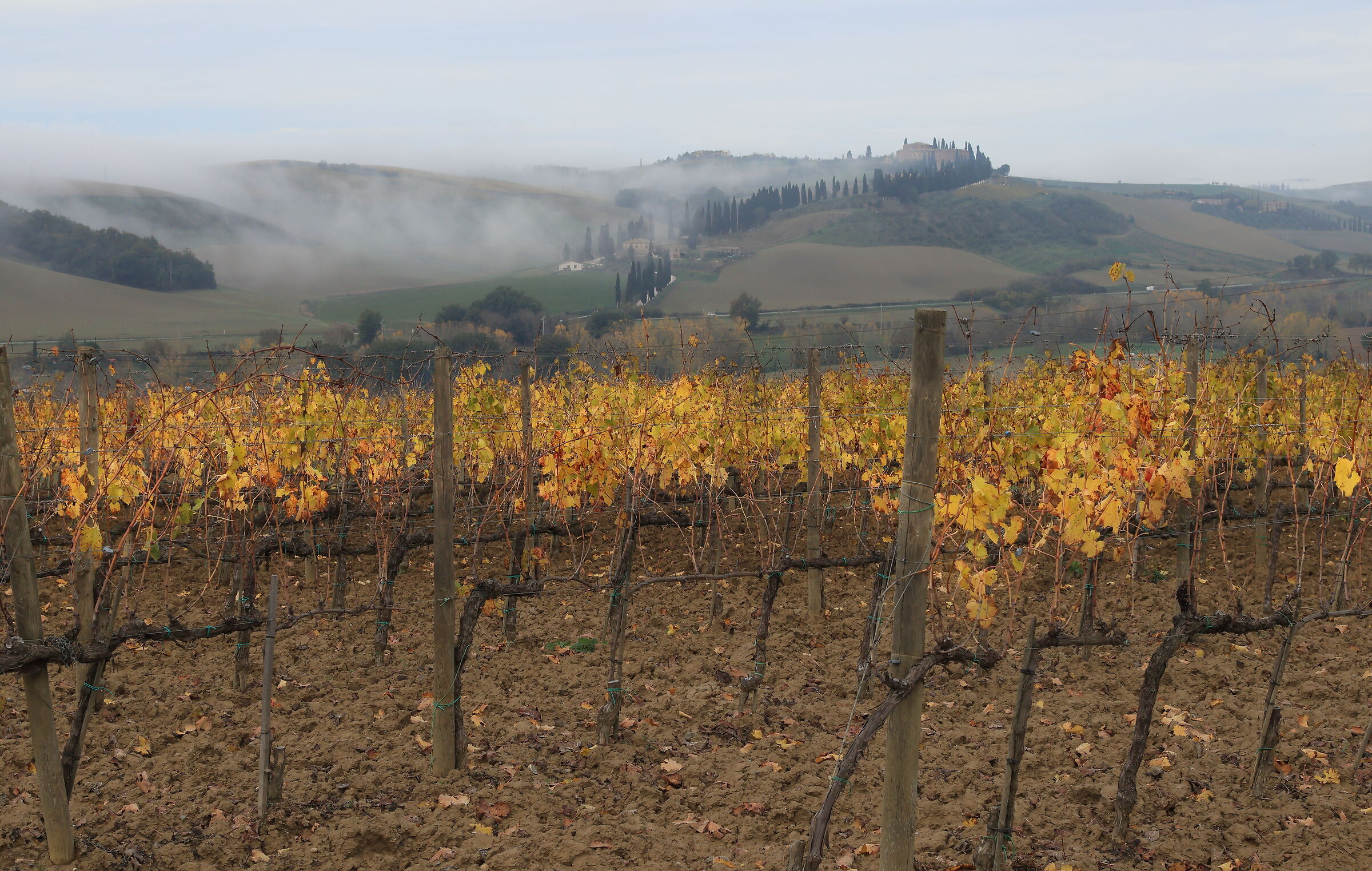 Val d'Orcia in autumn...