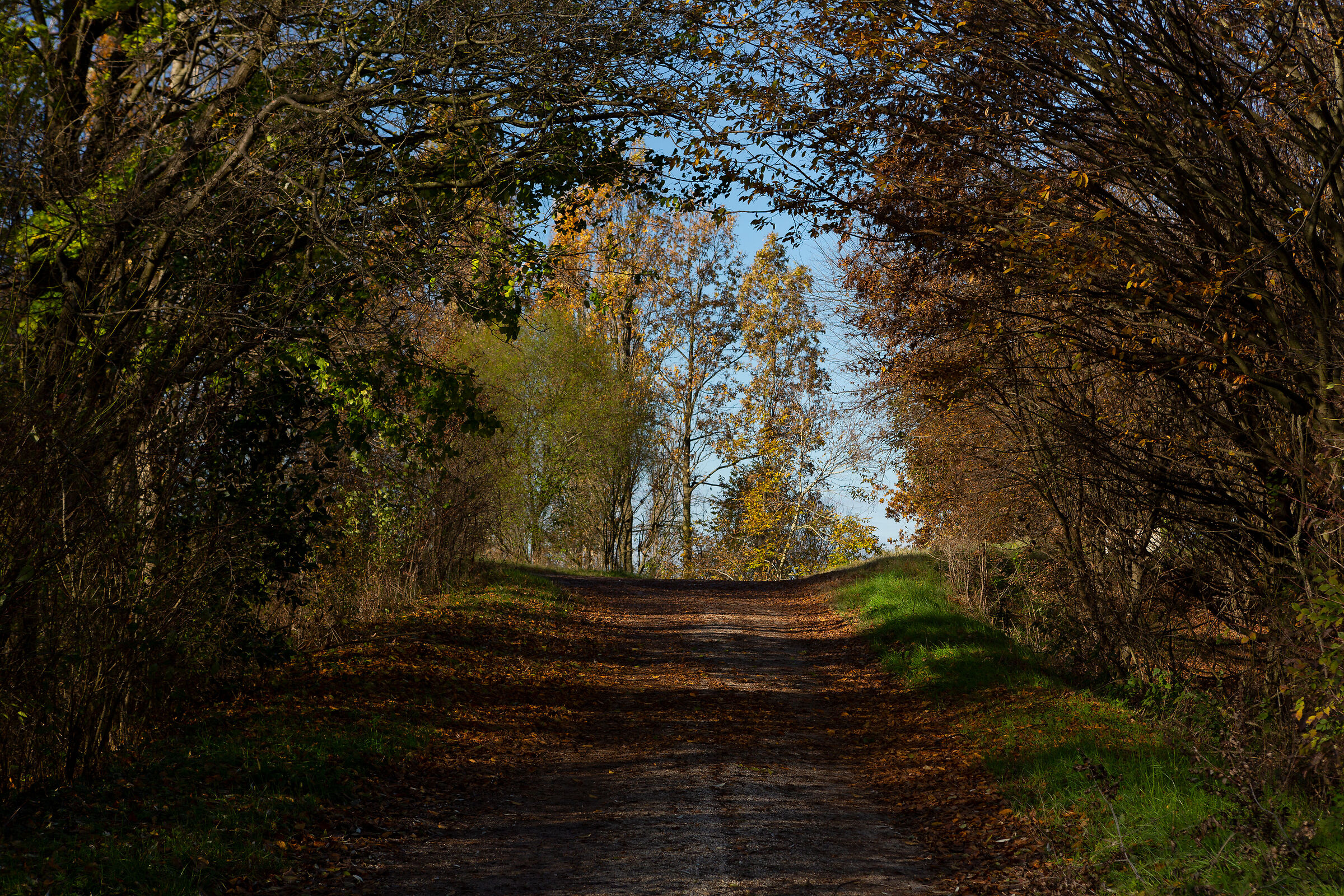 A gateway to autumn...