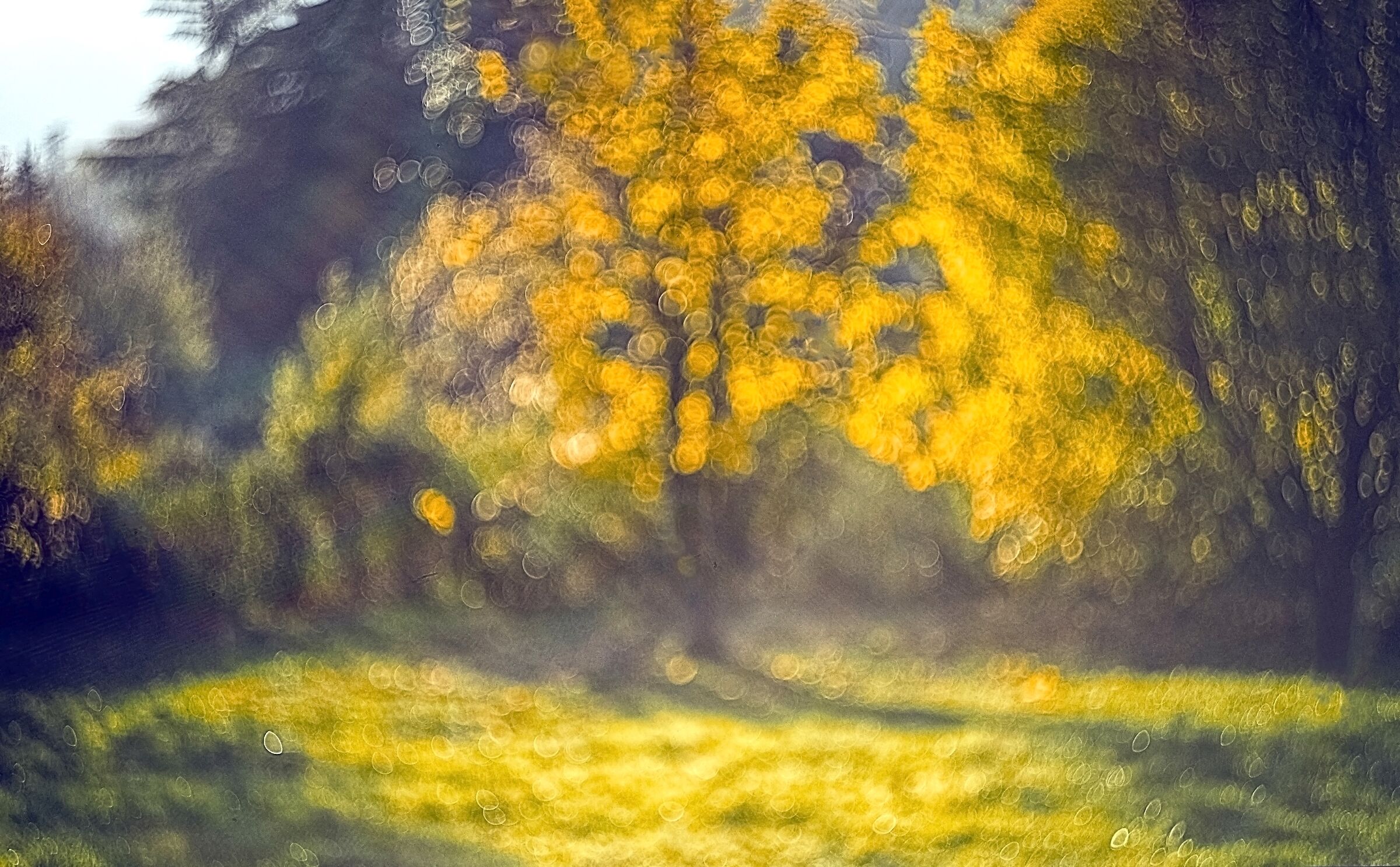Un Autunno sfocato - A Blurry Autumn...