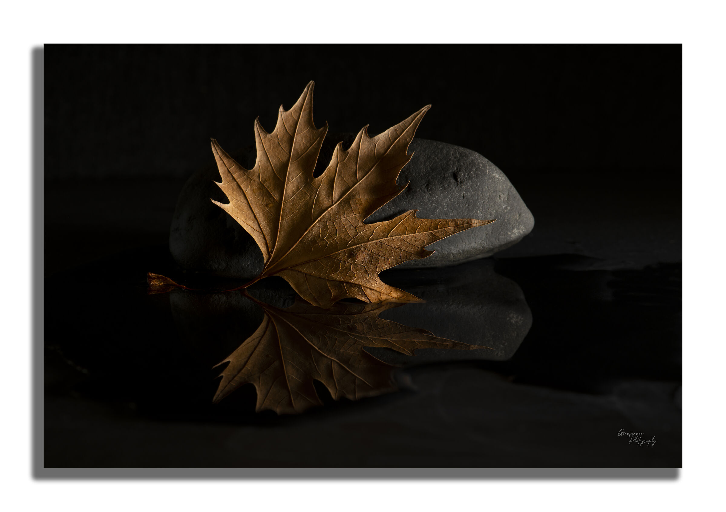 Rock and leaf...
