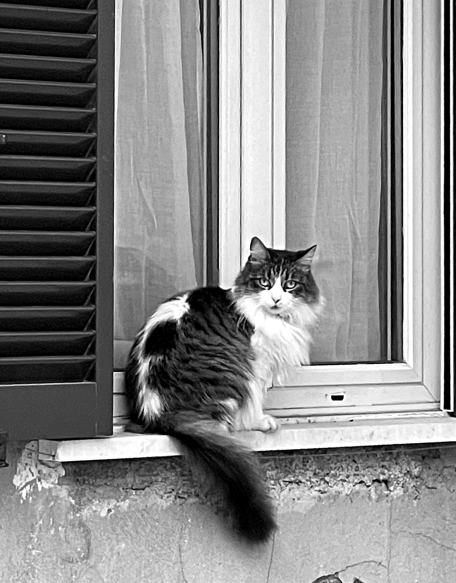 At the window...