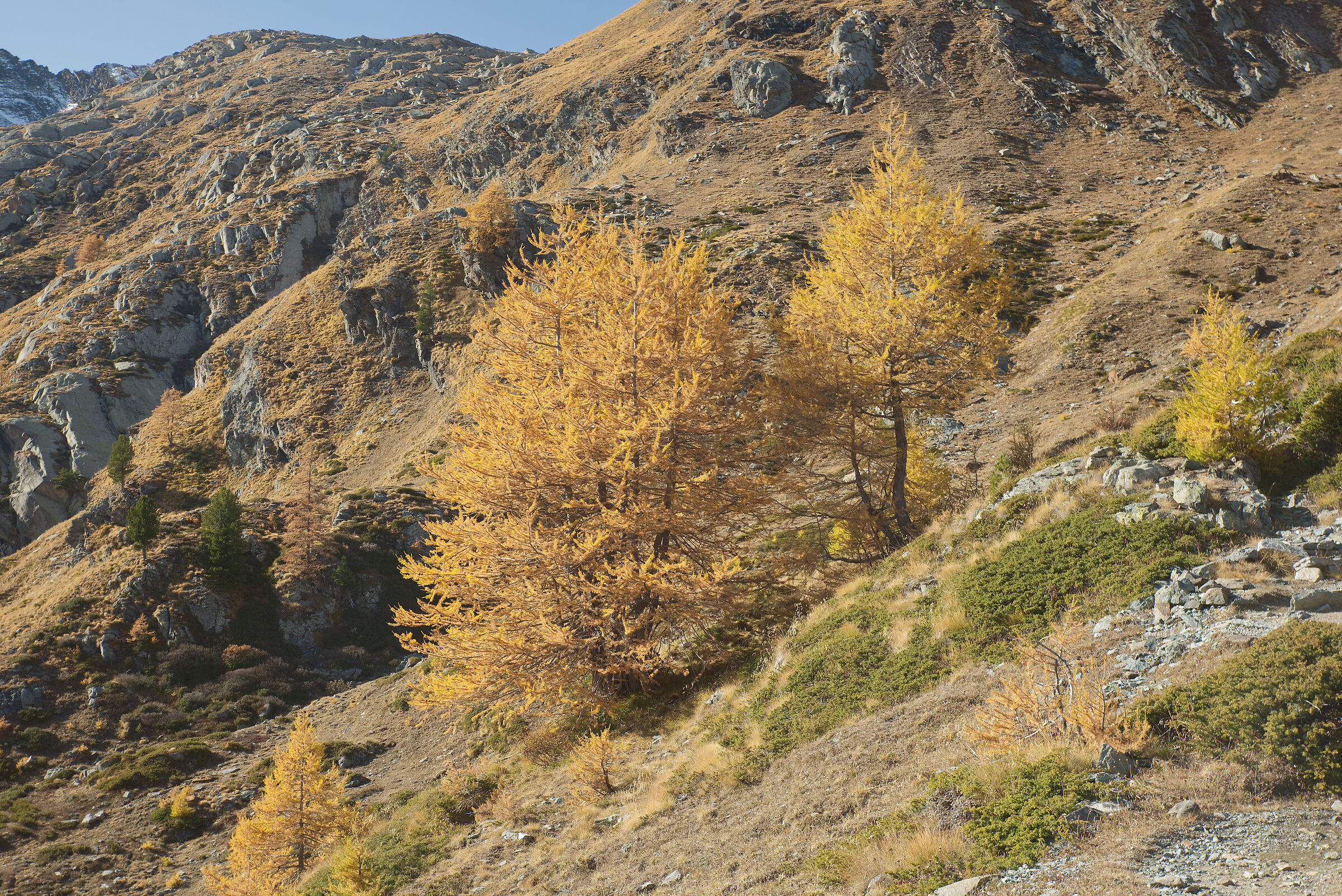 autumn in Val d'Aosta October 2021...