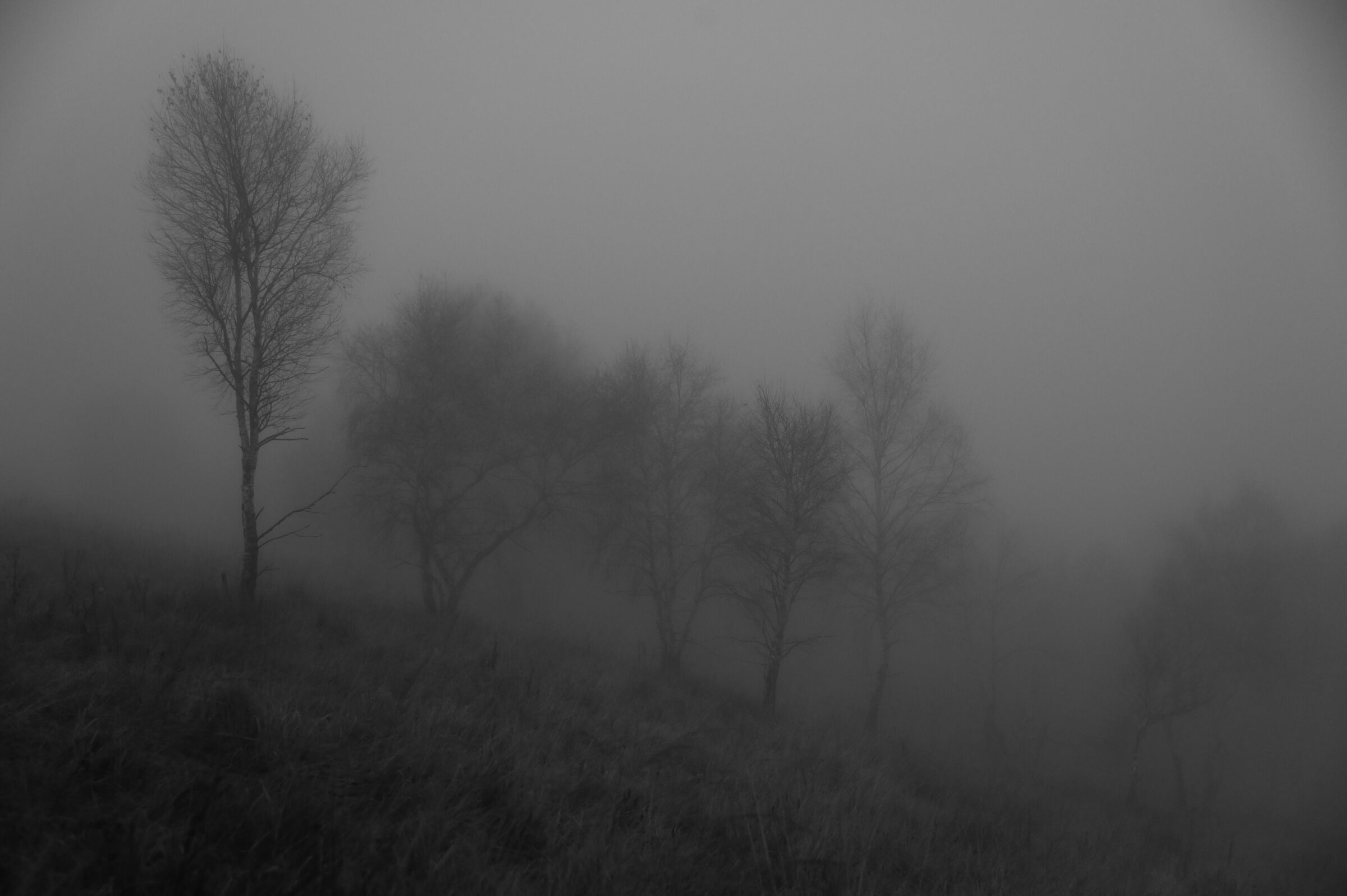 In the fog...