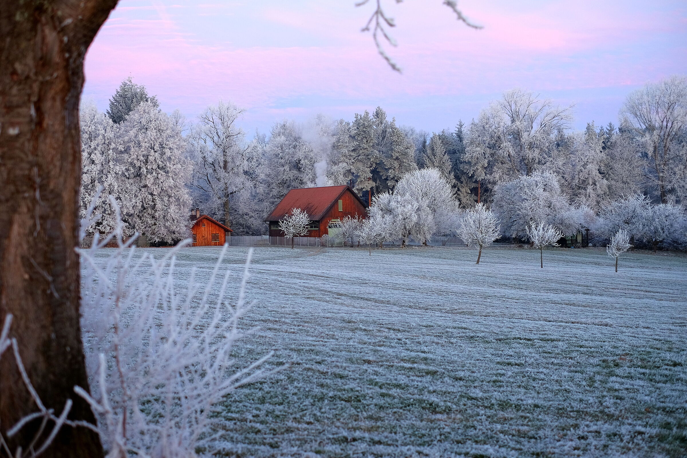 Barn in frosty morning light...