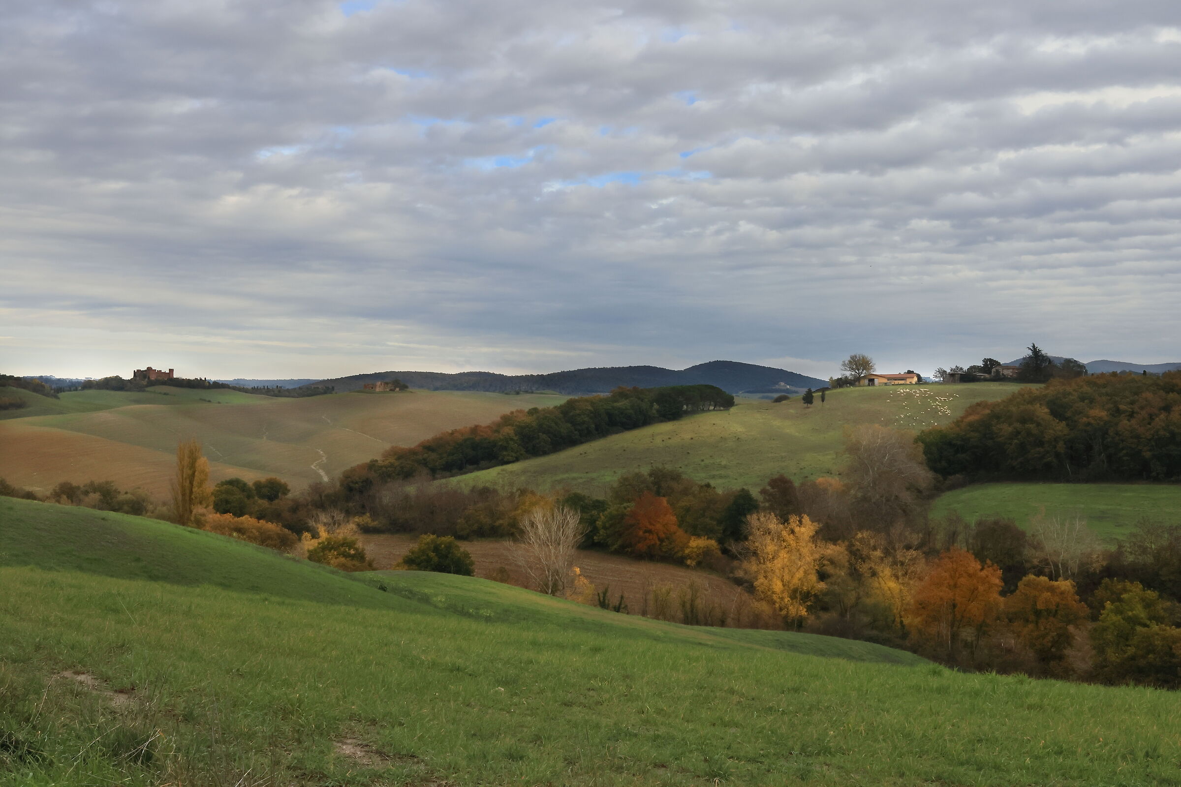 Val d'Arbia in autumn...