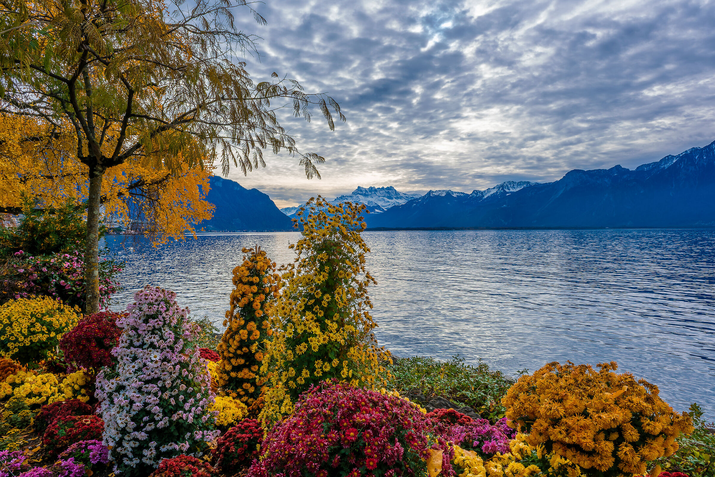 Montreux - Lago di Ginevra...