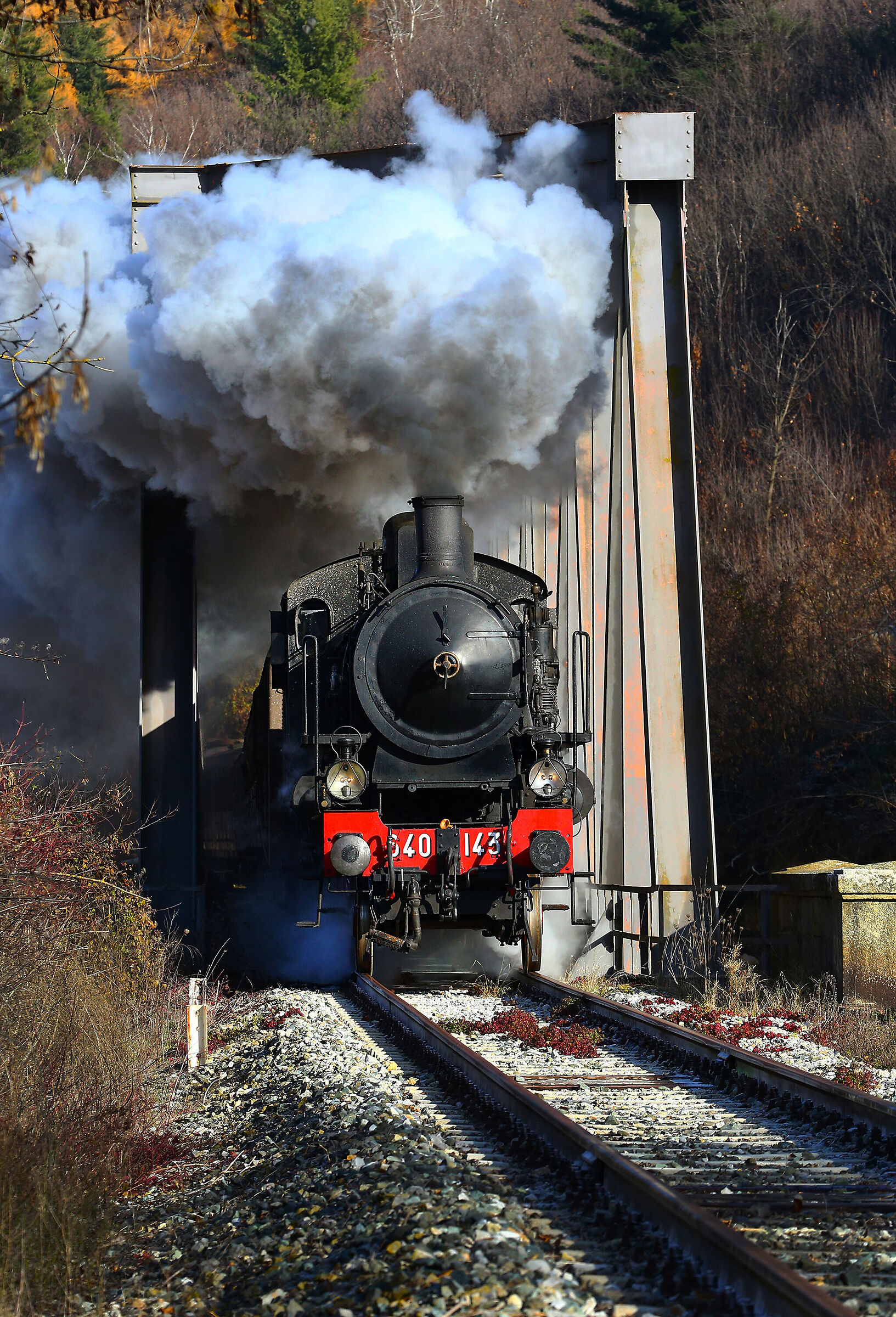 Steam locomotive ride...