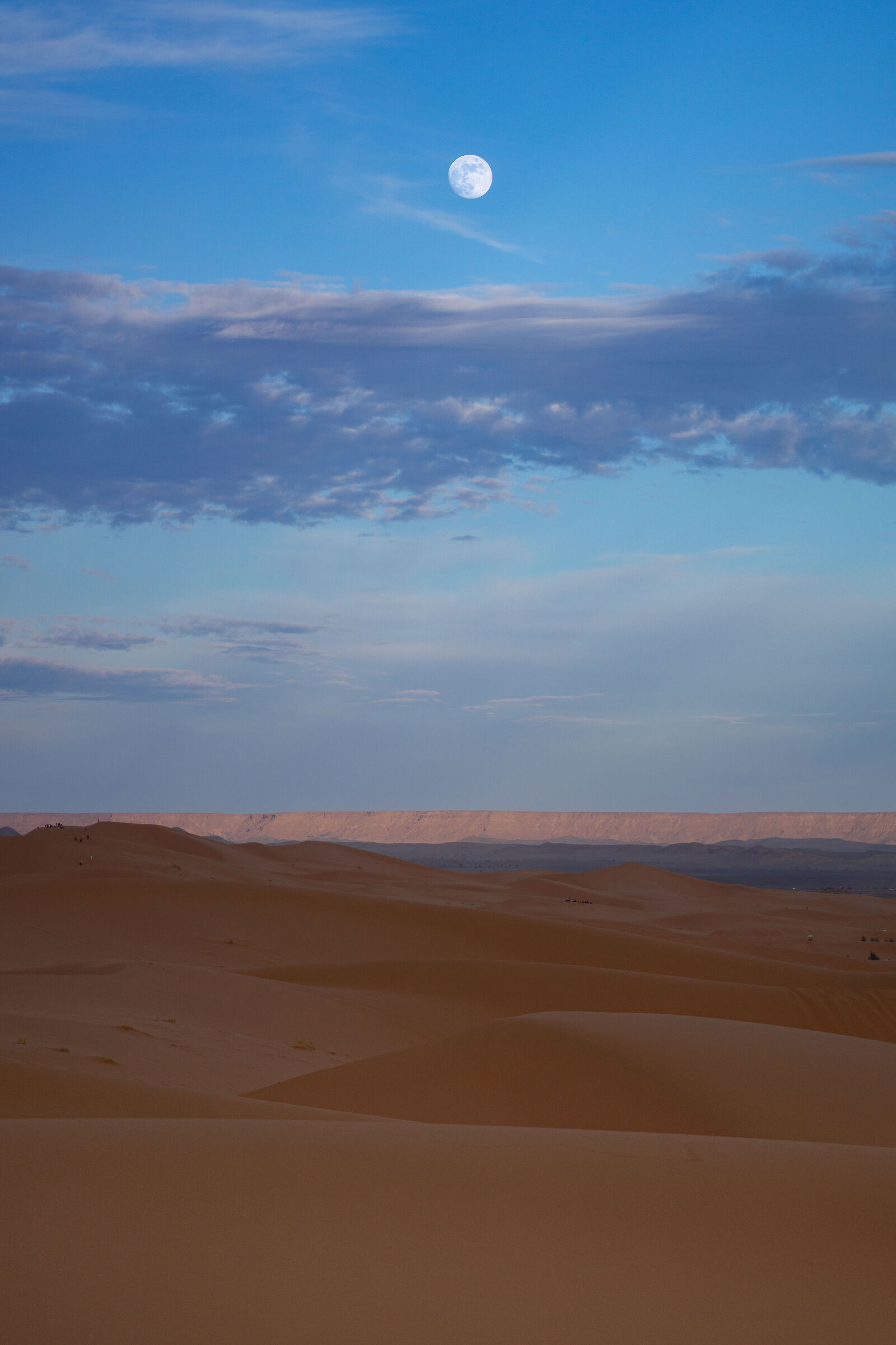 Sahara Desert...