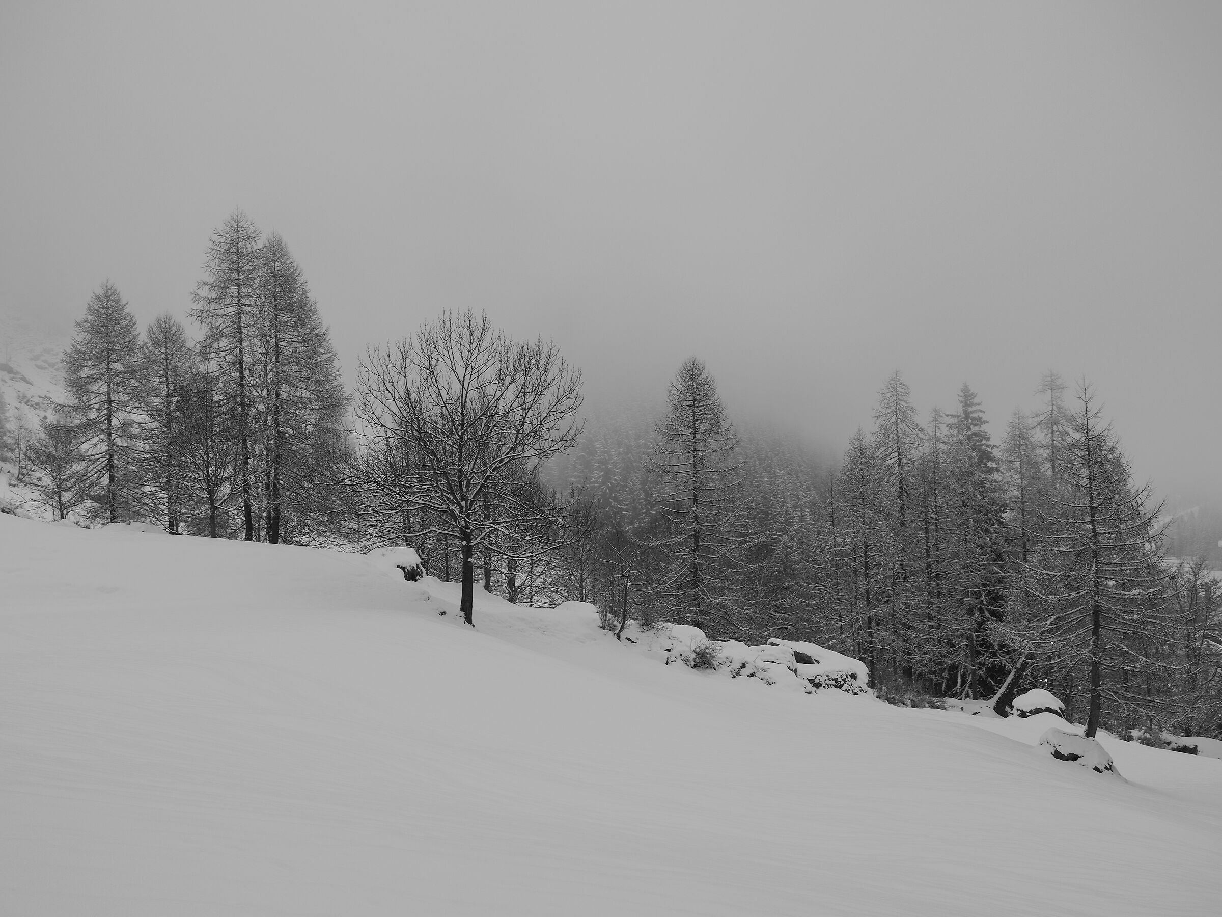 Aosta Valley Gressoney...