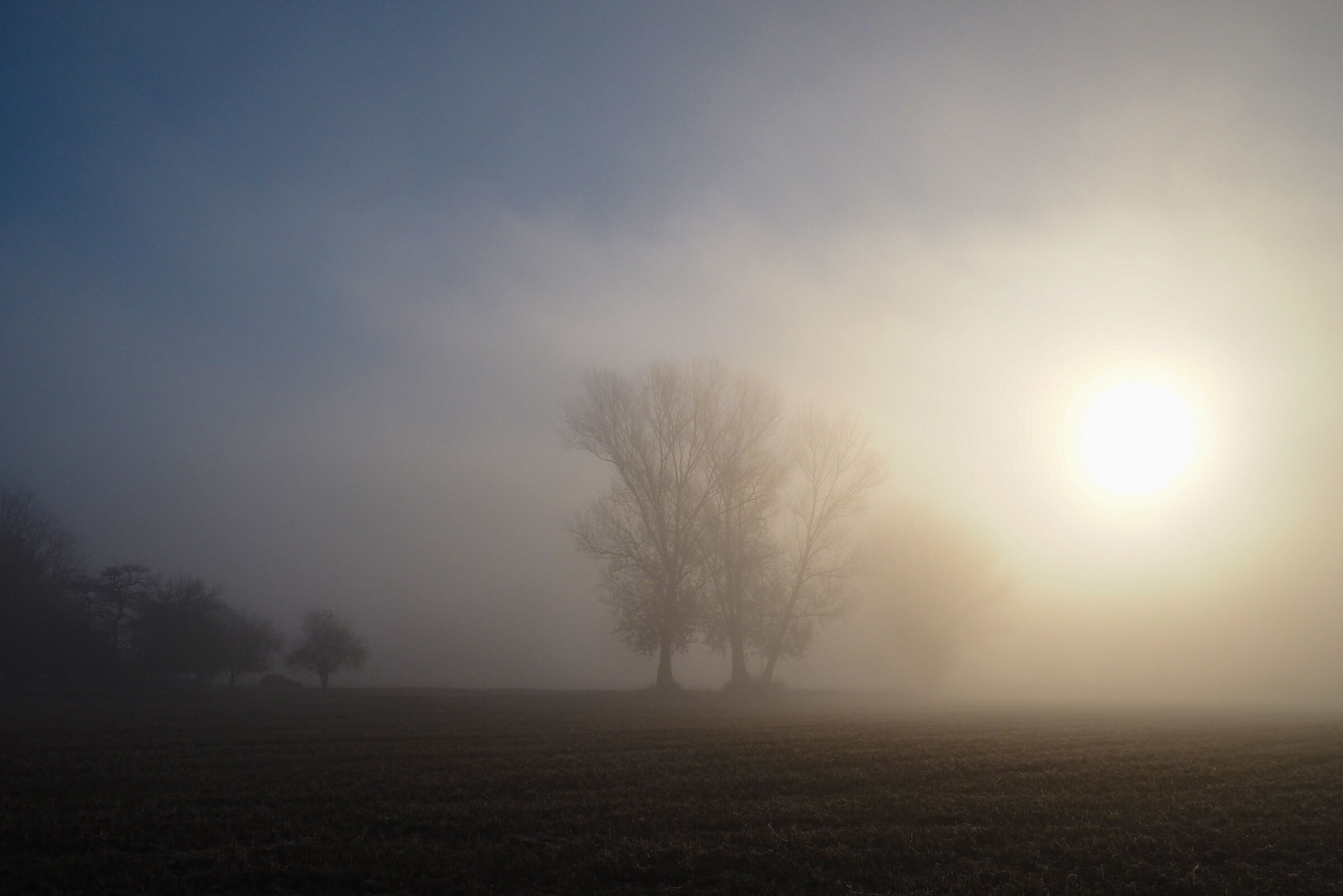 misty dawn...