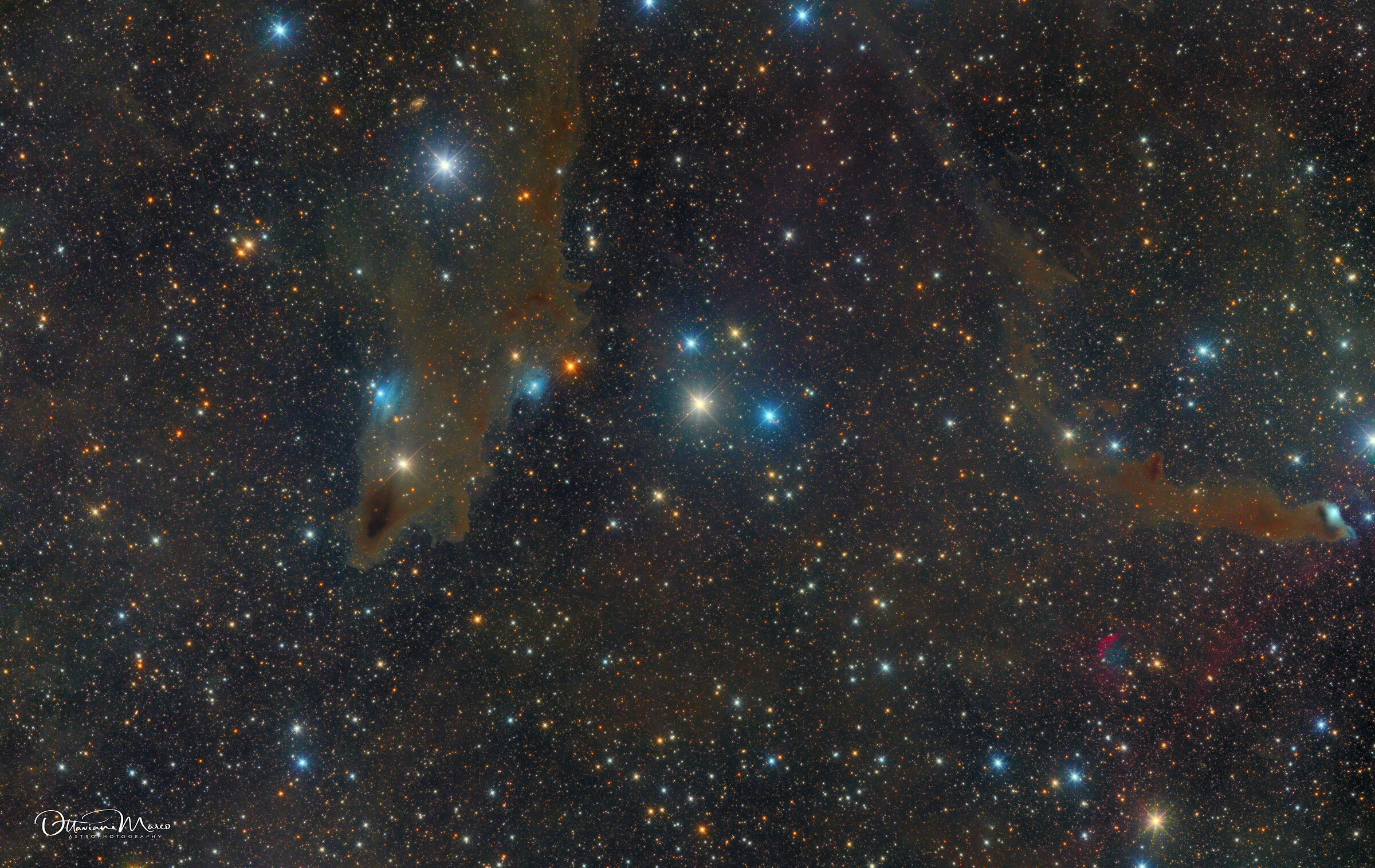 ldn1235 dark nebula (shark)...