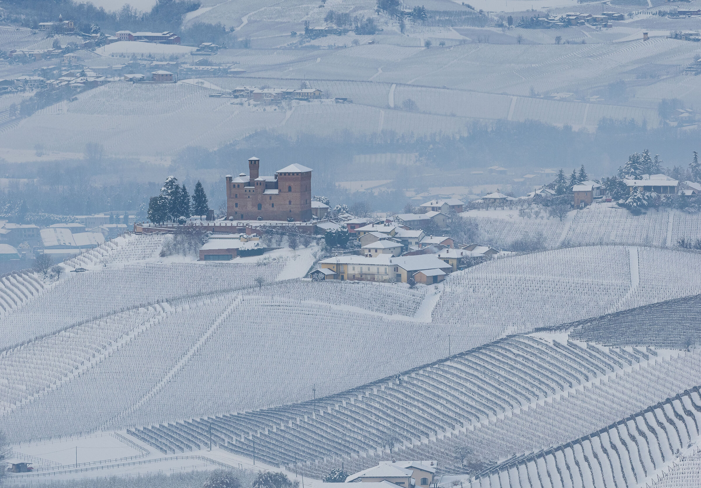 the Castle of Grinzane Cavour and the winter vineyards...