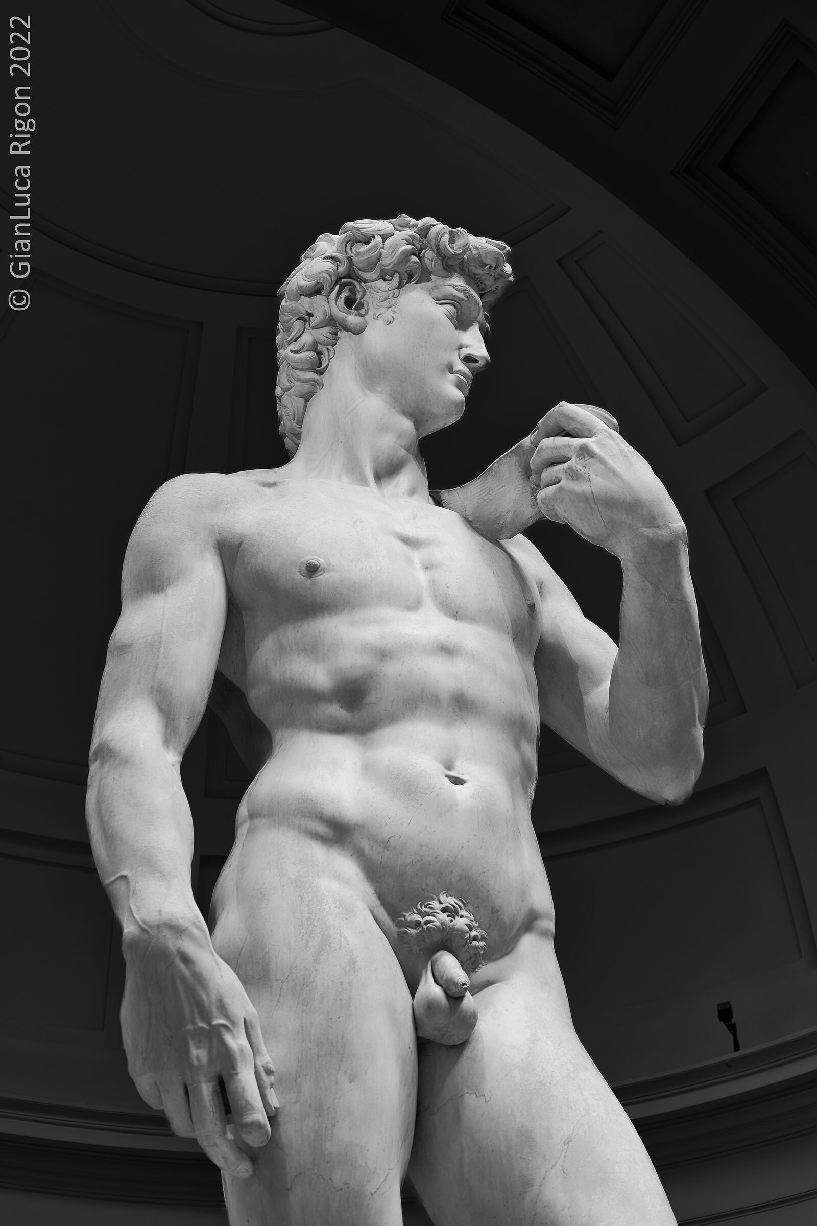 David (Michelangelo)...