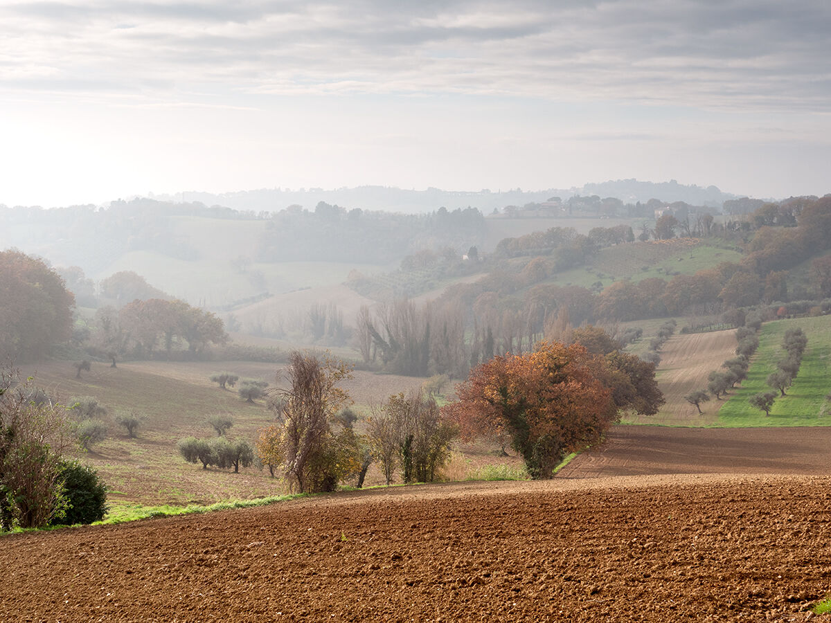 Marche Countryside...