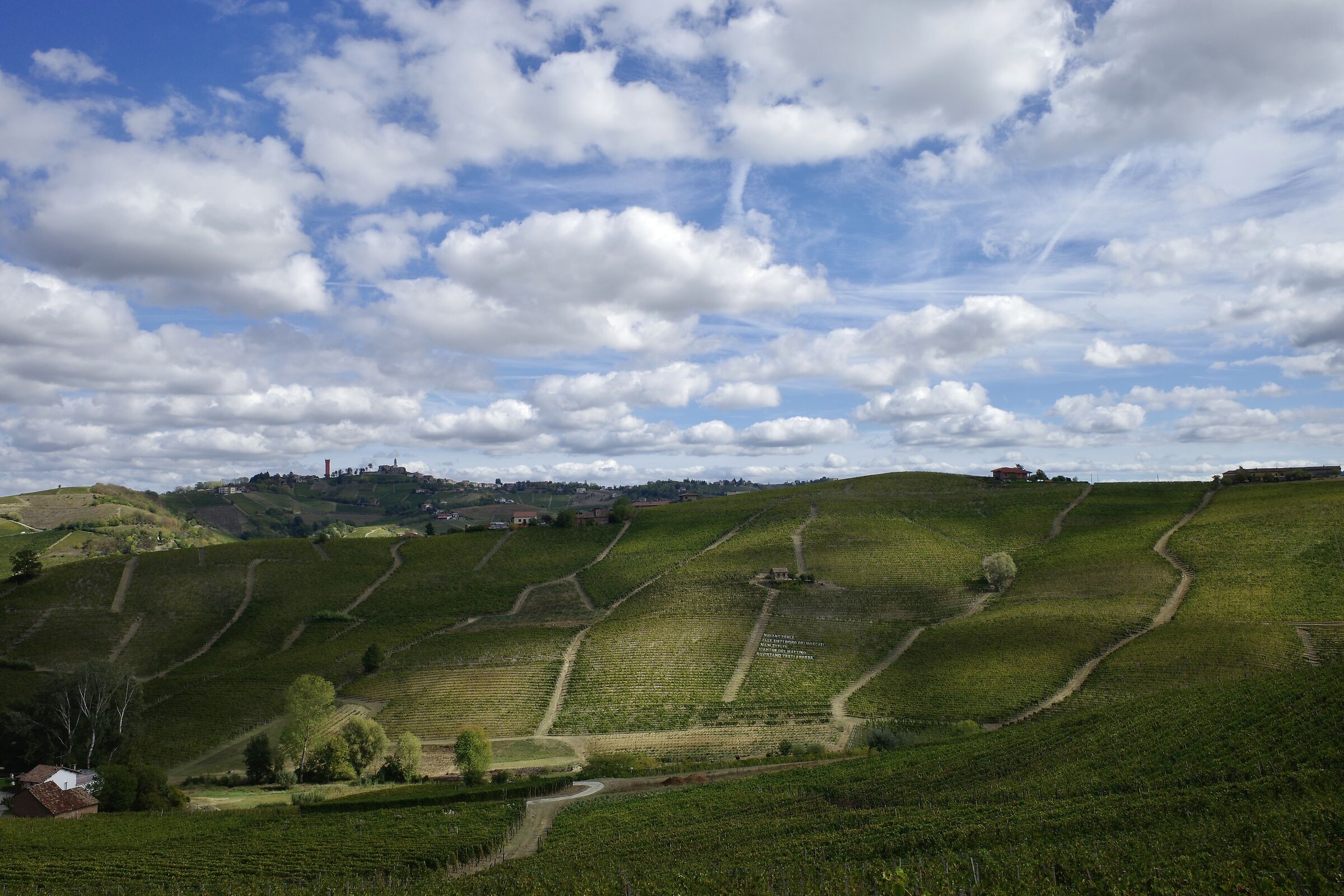 Vineyards and poems...