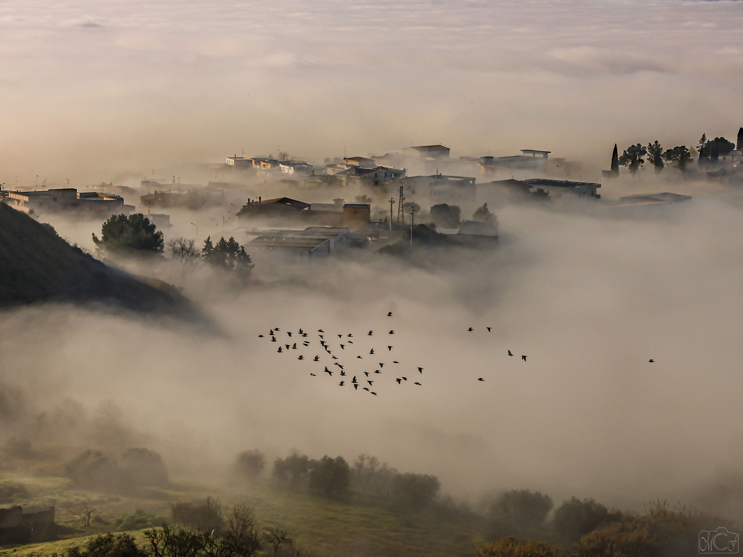 Montescaglioso (Matera) and its Sea (of fog)...