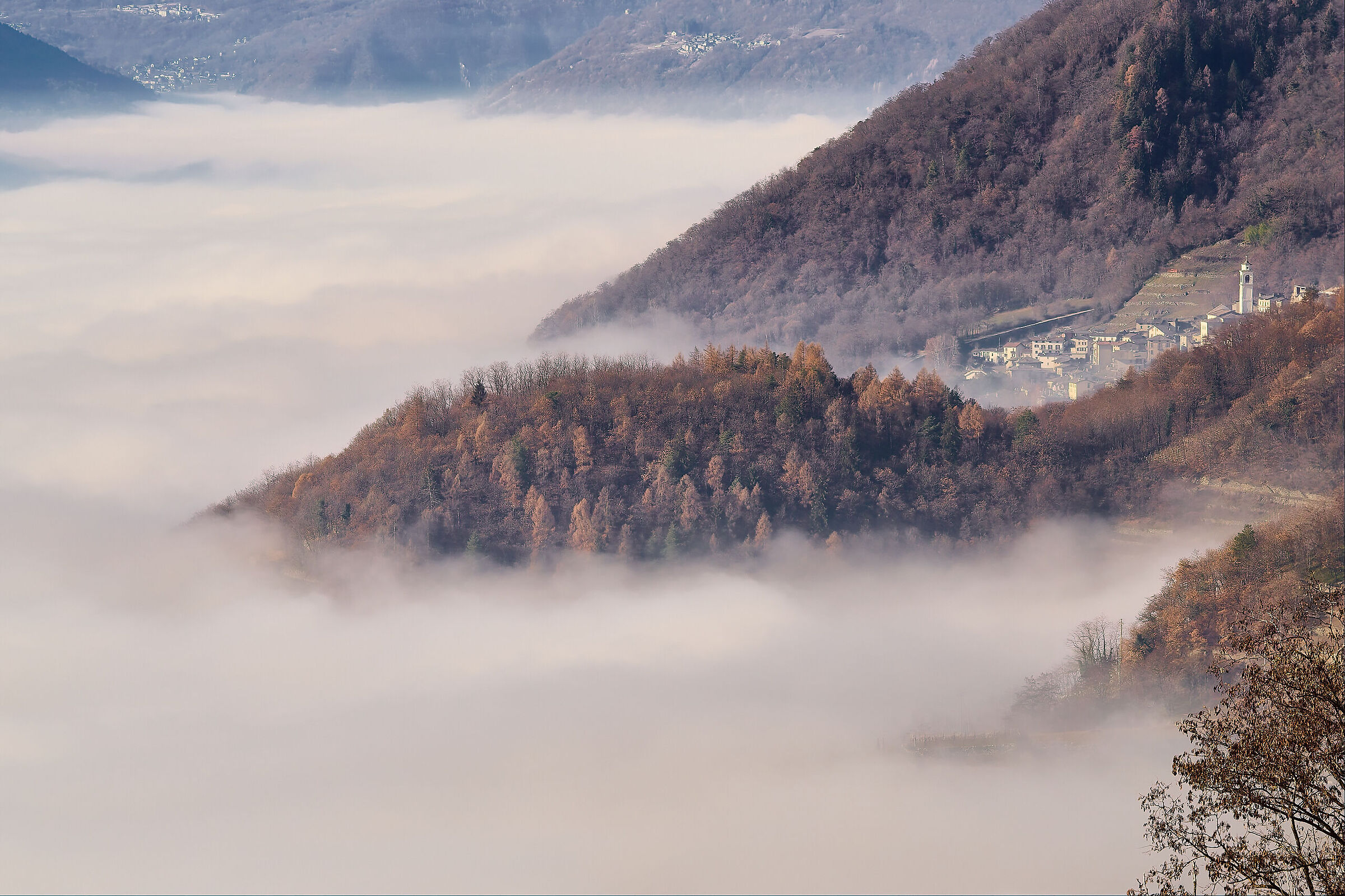 Nebbia in Valtellina...