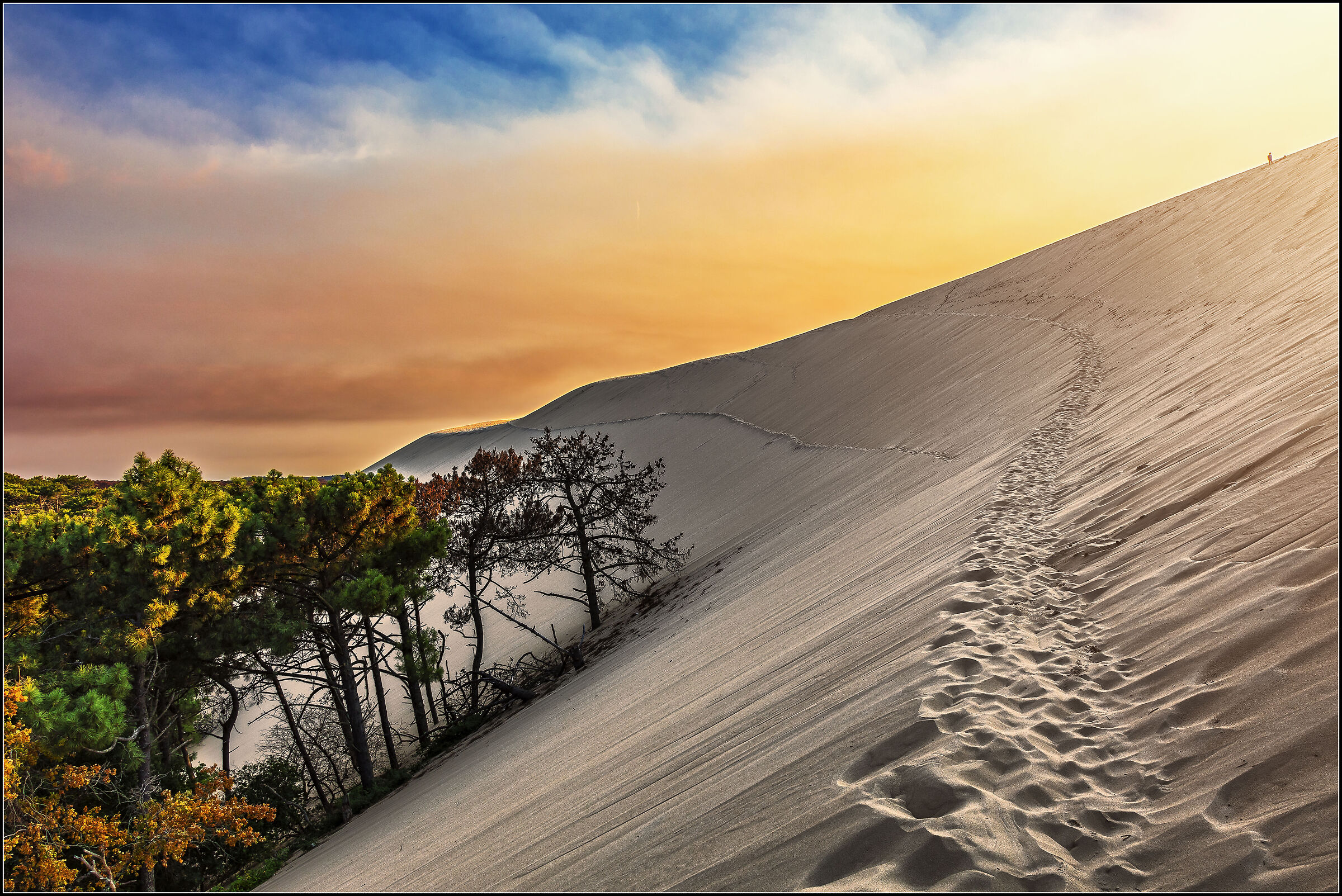 Dune de Pilat (Francia)...