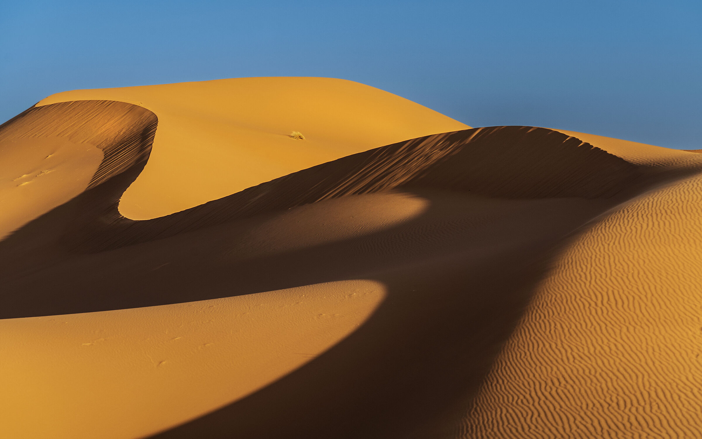 Merzouga - Deserto del Sahara Marocco...
