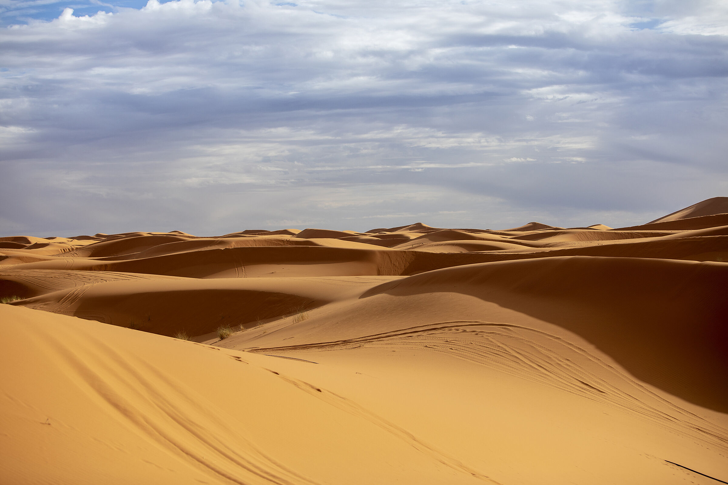 the dunes of Erg Chebbi...