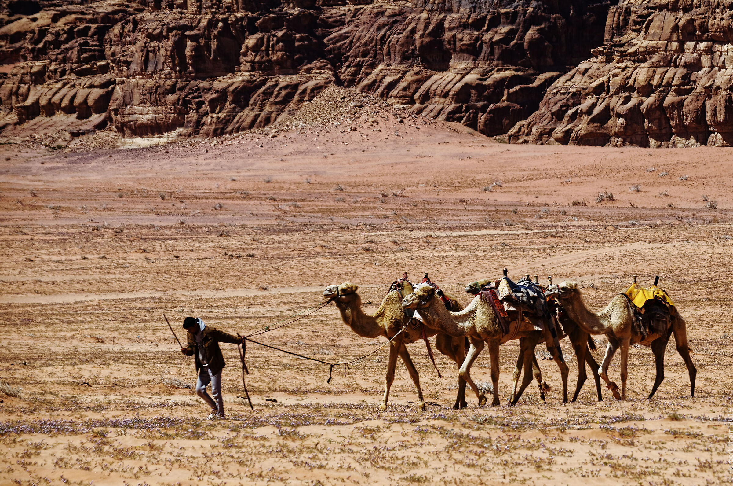 Wadi Rum Desert...