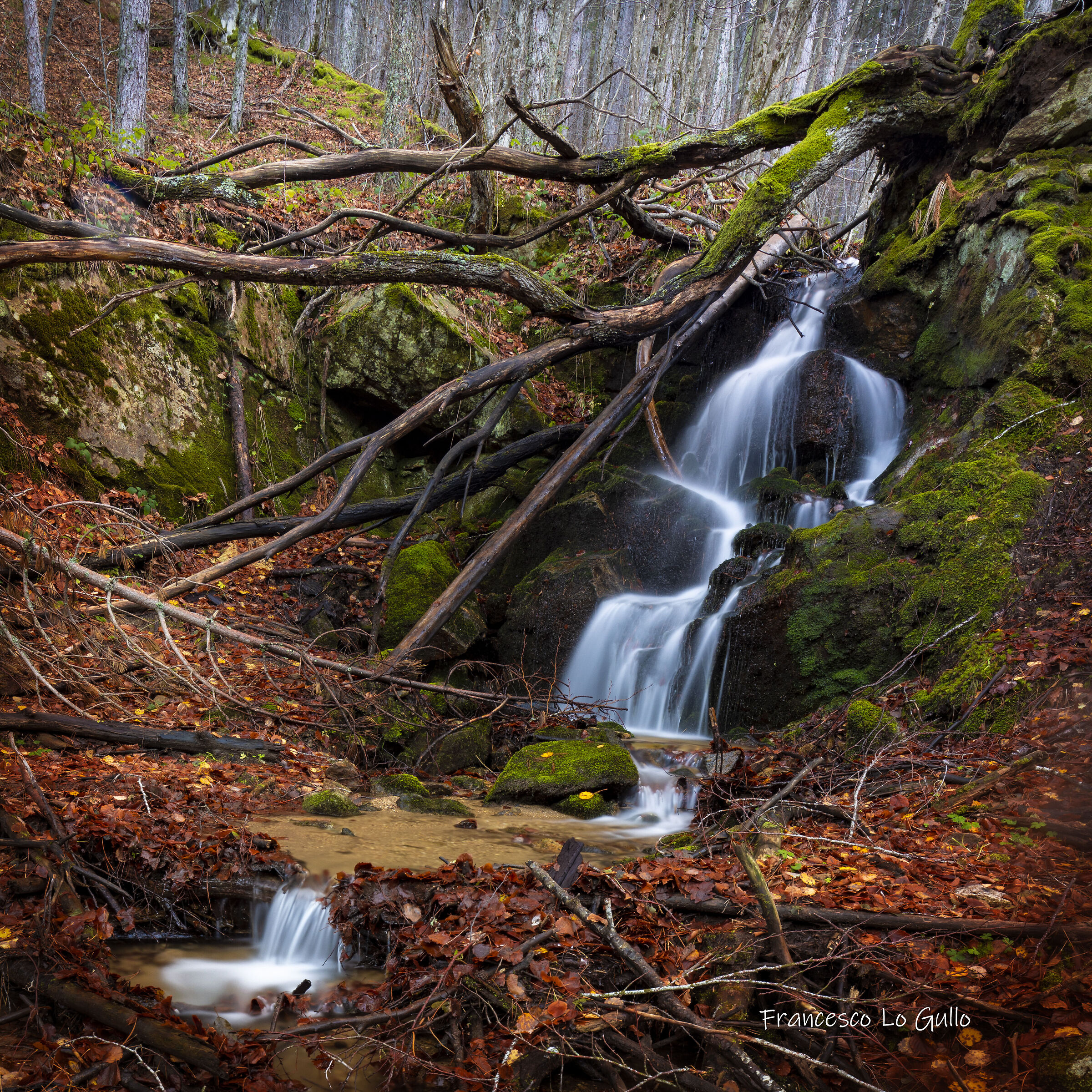 Small waterfall in the woods ...